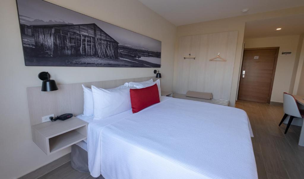 Room Accessible King Size Bed