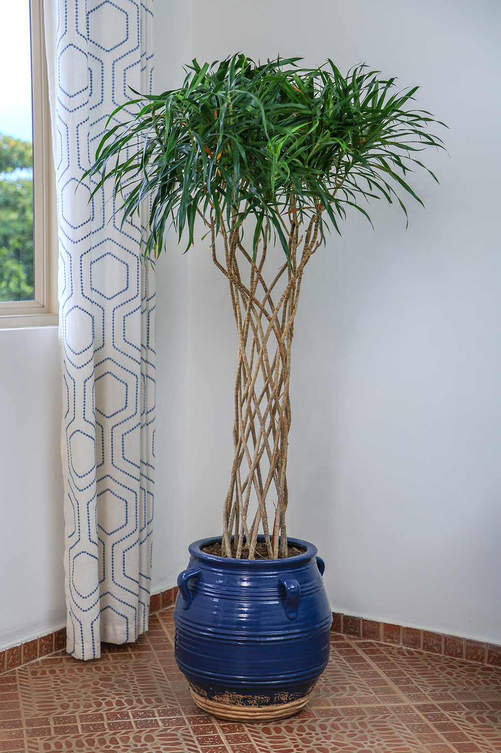 Double Two Queen Beds