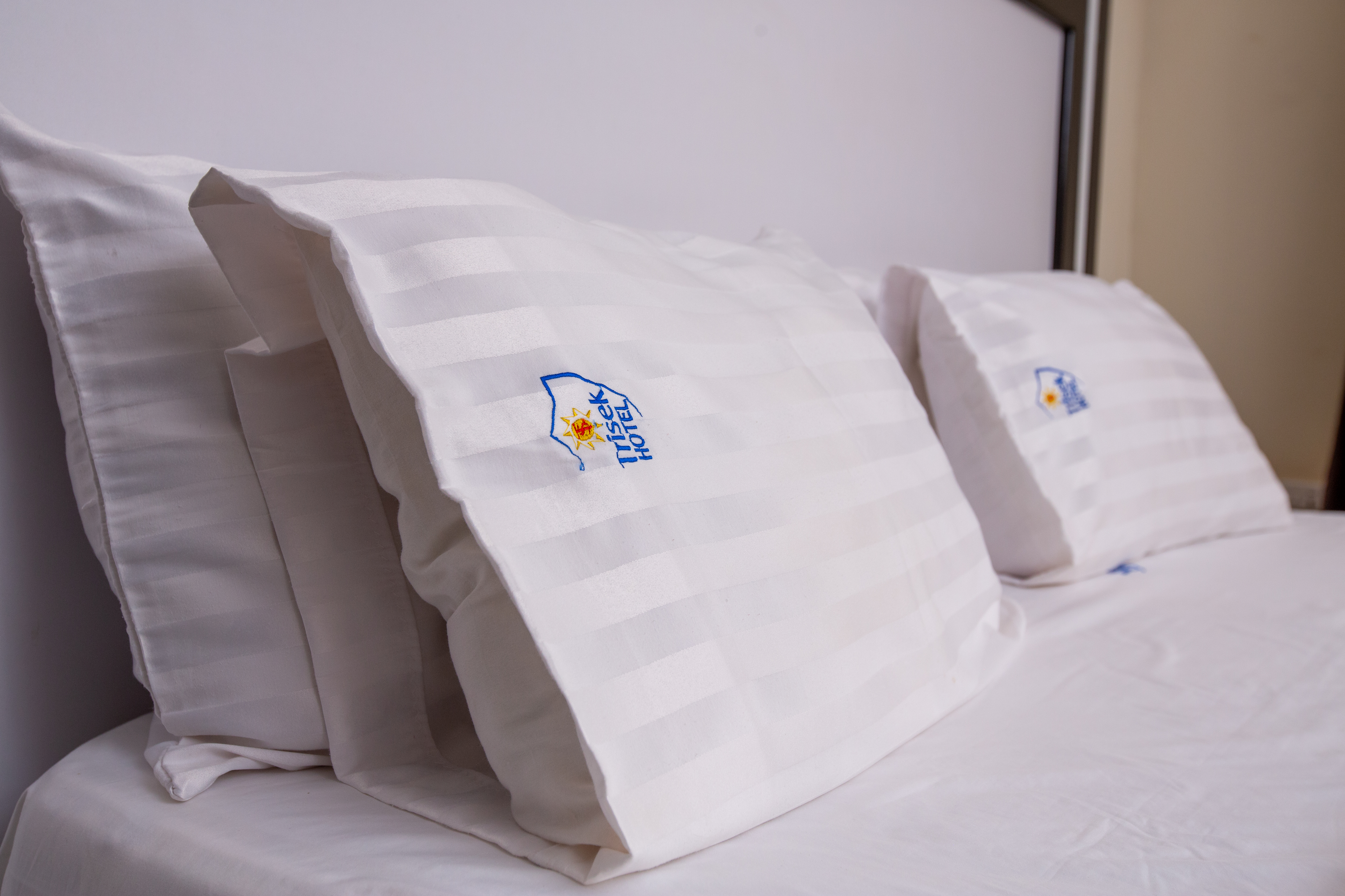 Suite One Bedroom One Bathroom