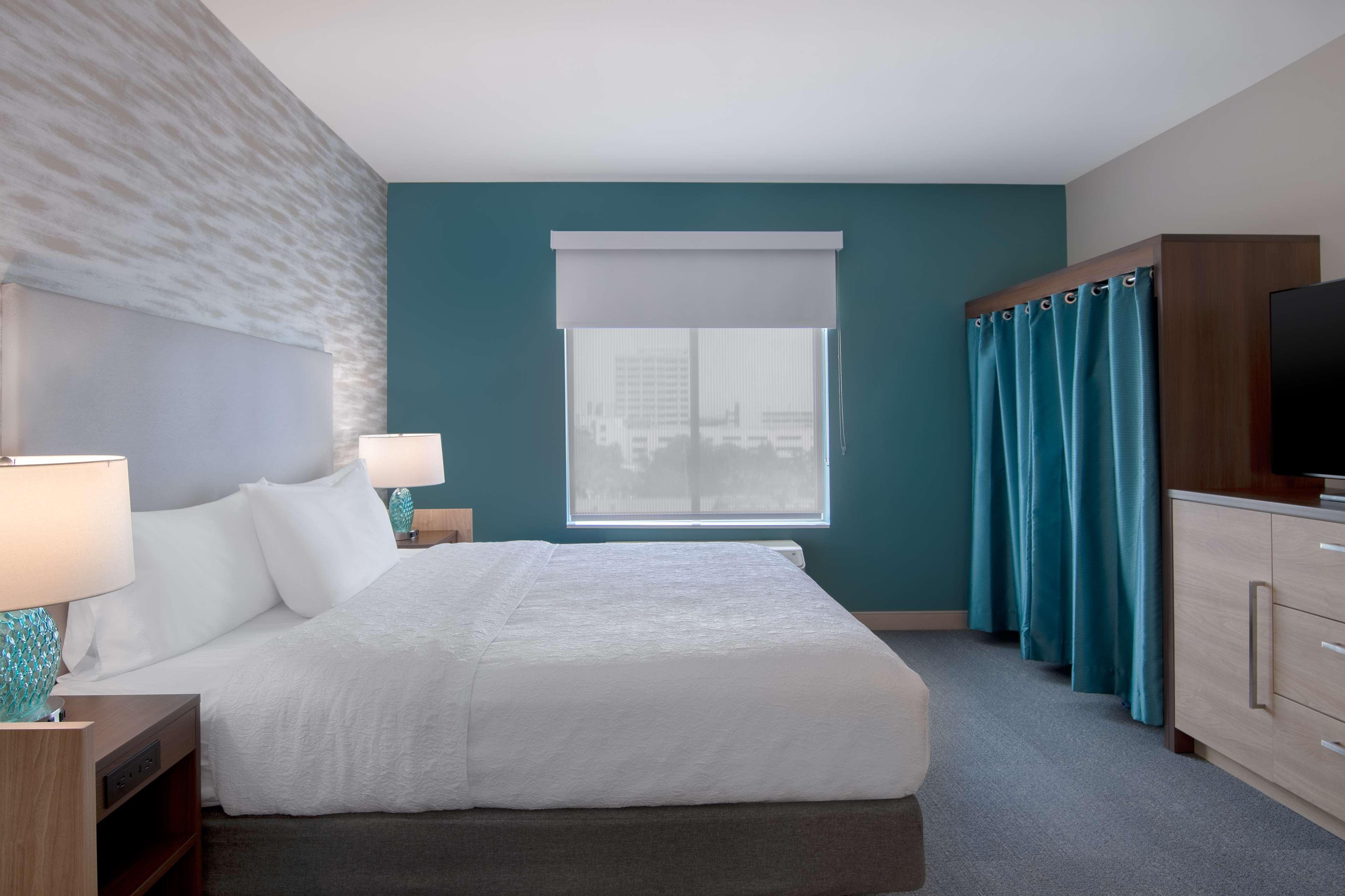 Suite King Bed One Bedroom 