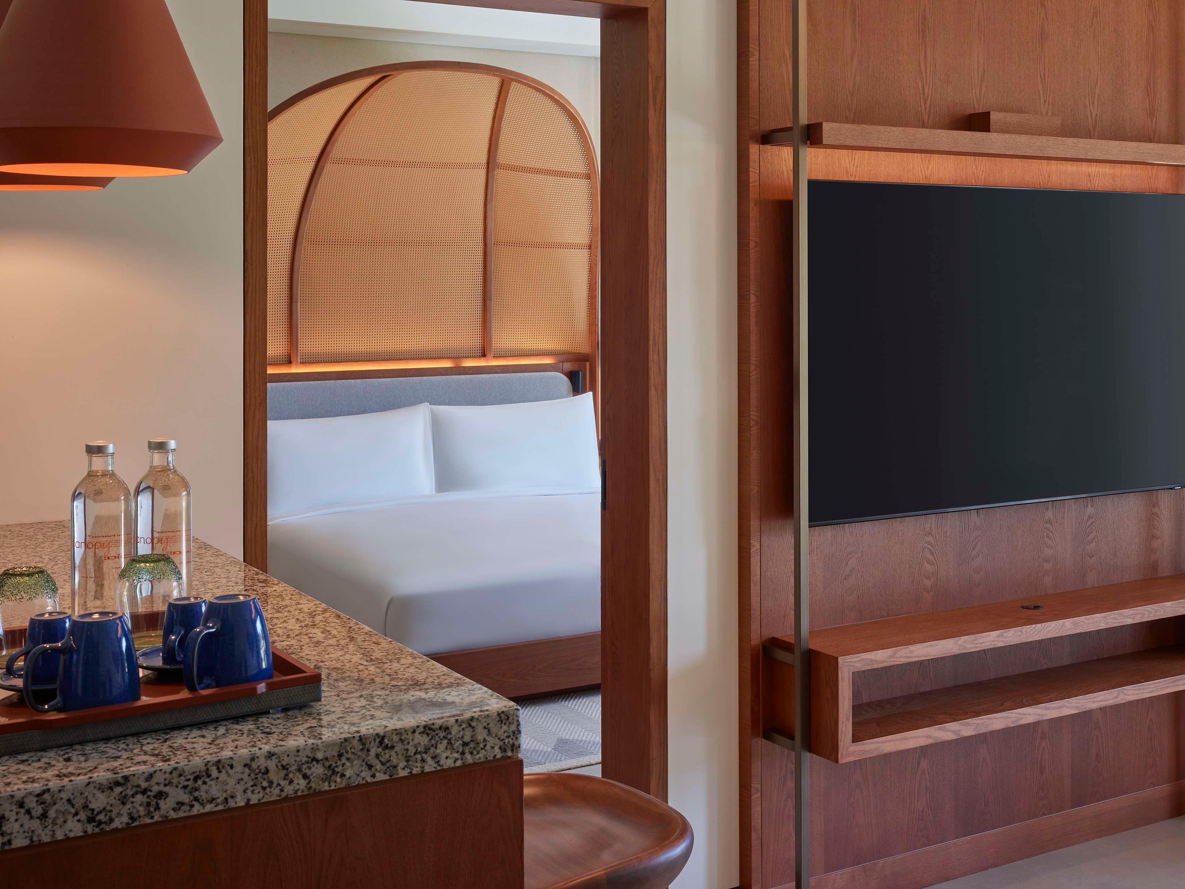 Suite King Bed One Bedroom 