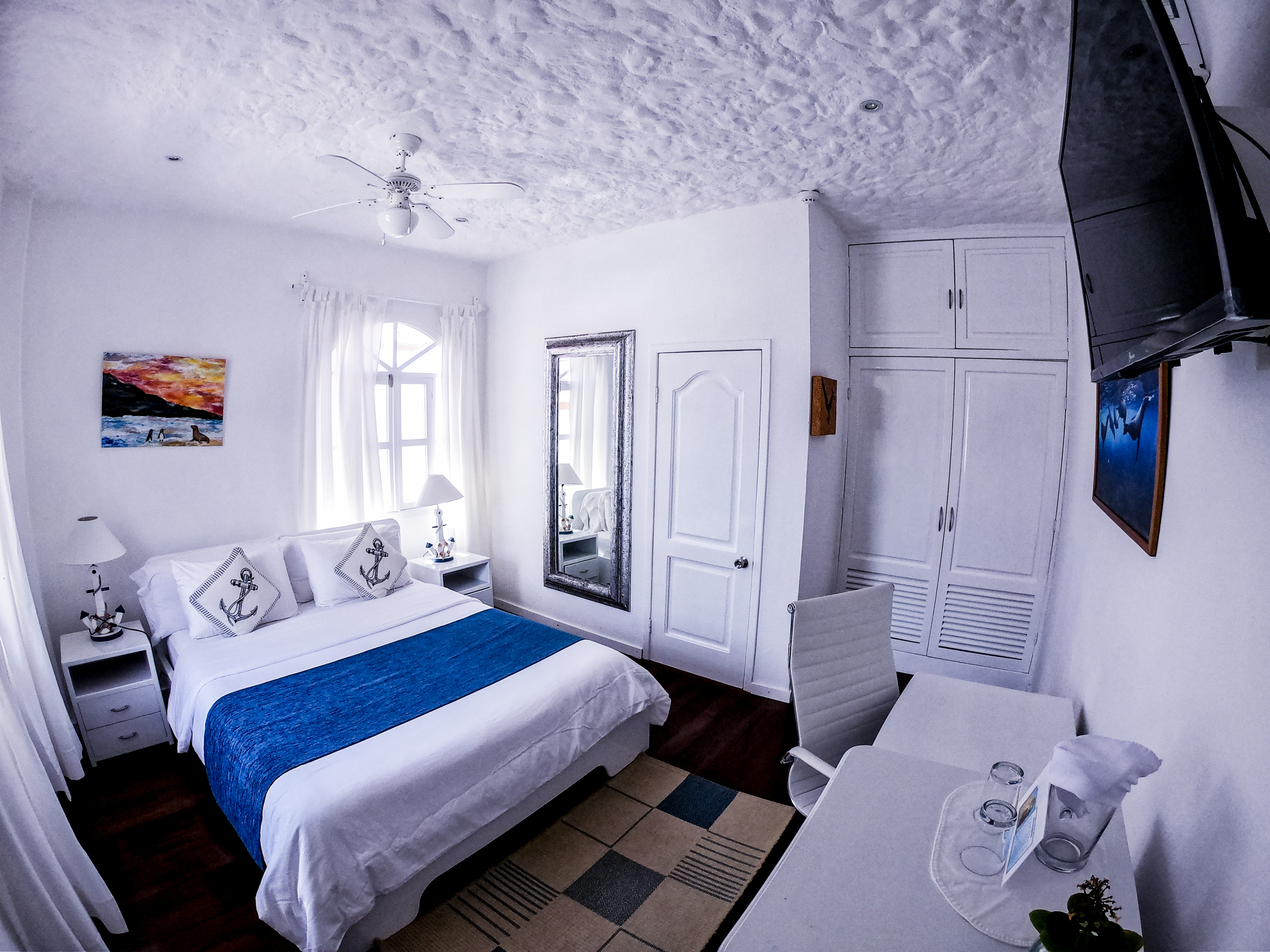 Double or Twin Standard