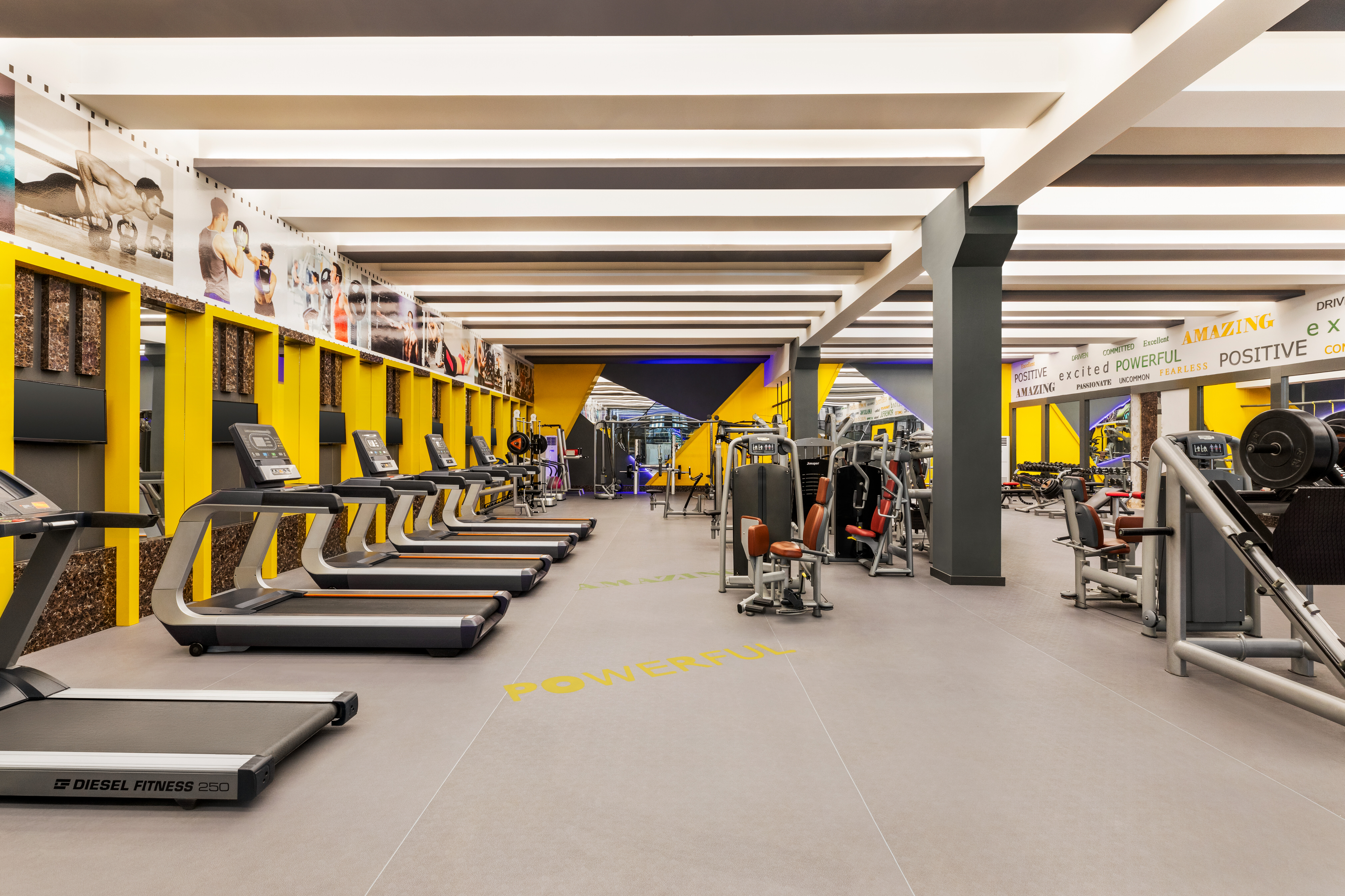 Sports and Entertainment