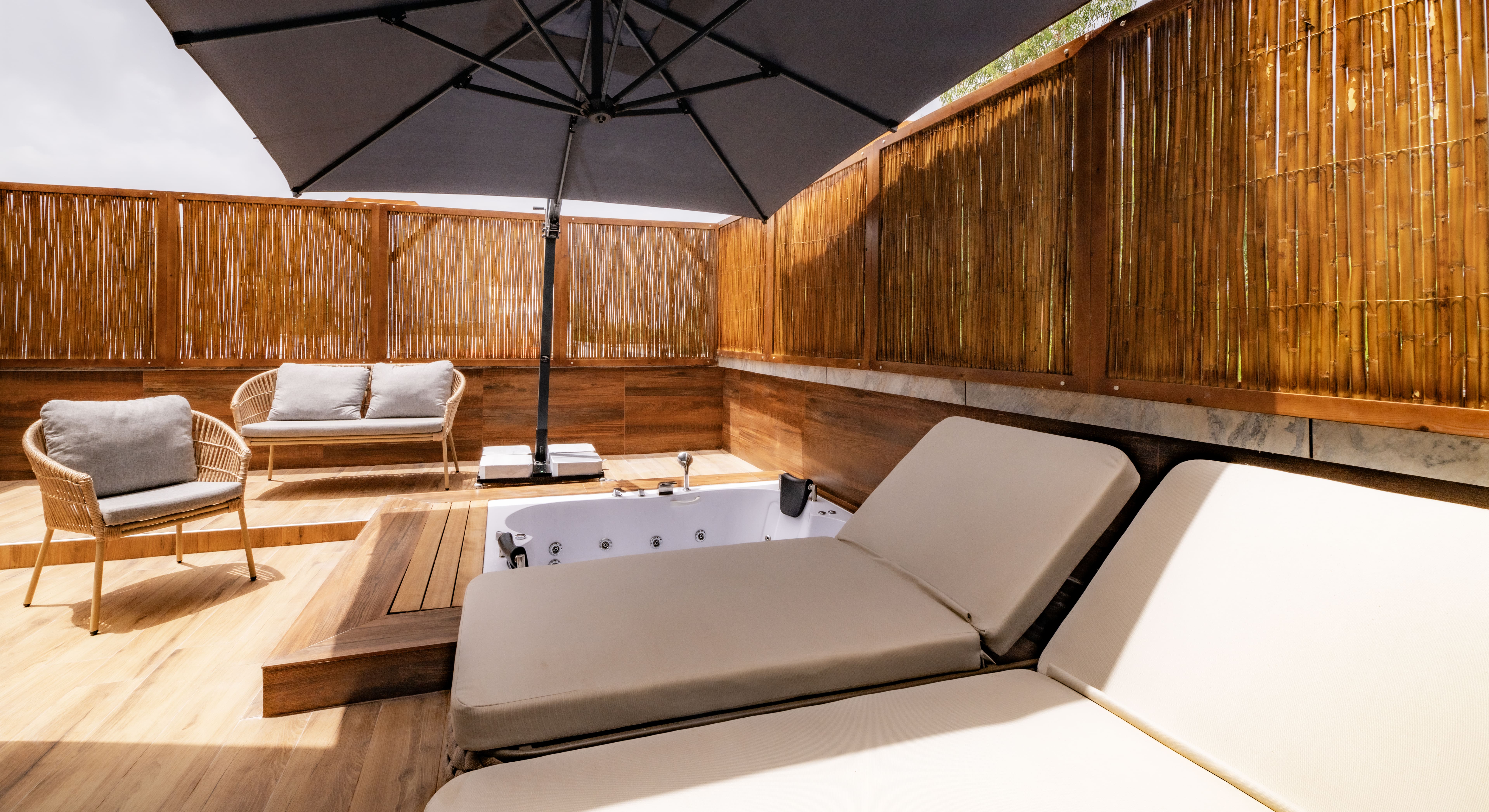 Suite One Bedroom with Terrace