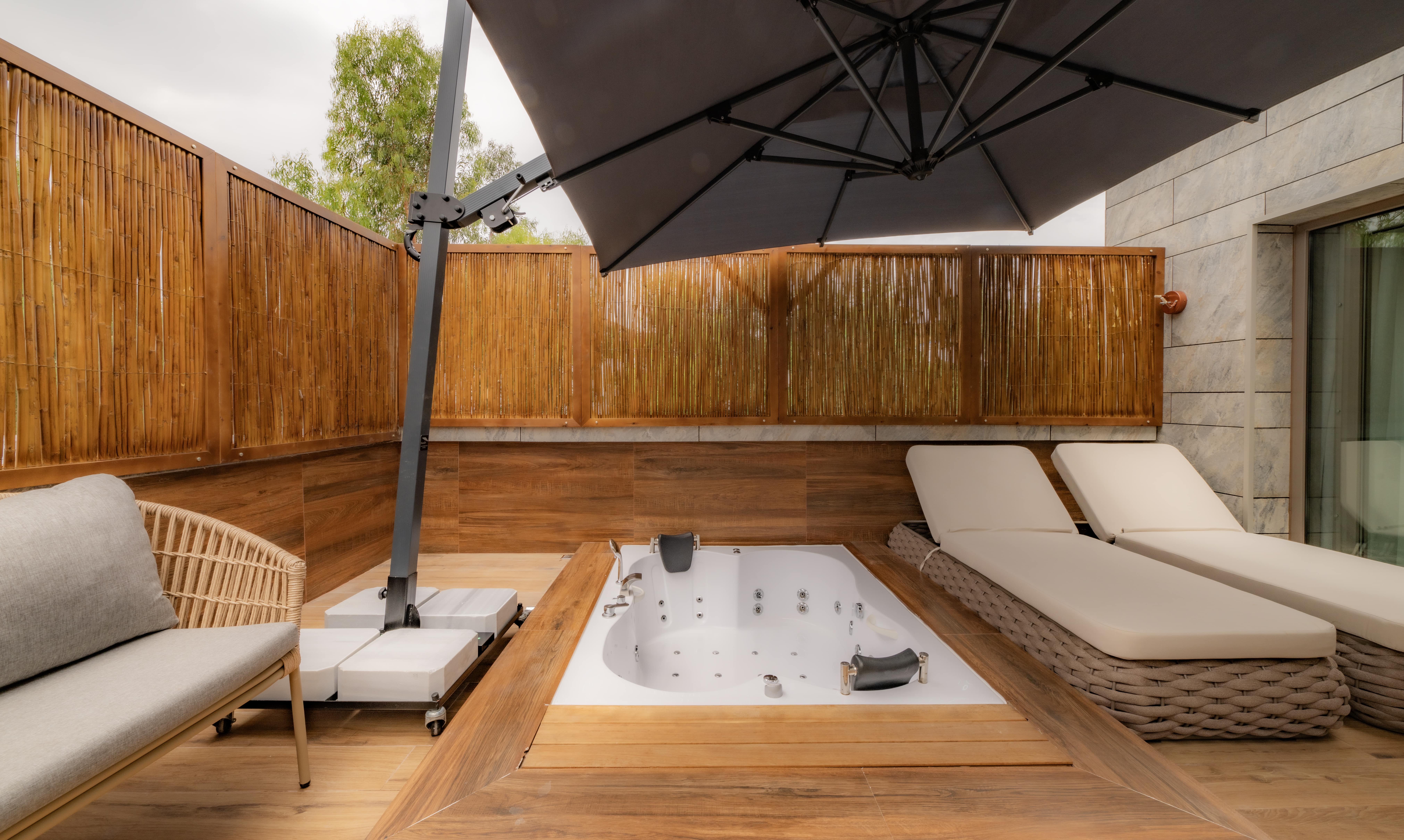 Suite One Bedroom with Terrace