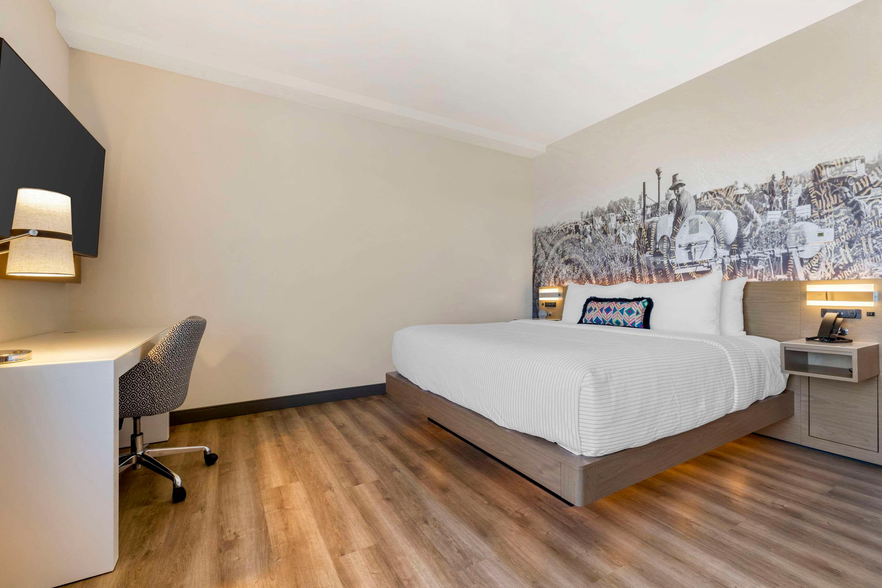 Suite King Size Bed
