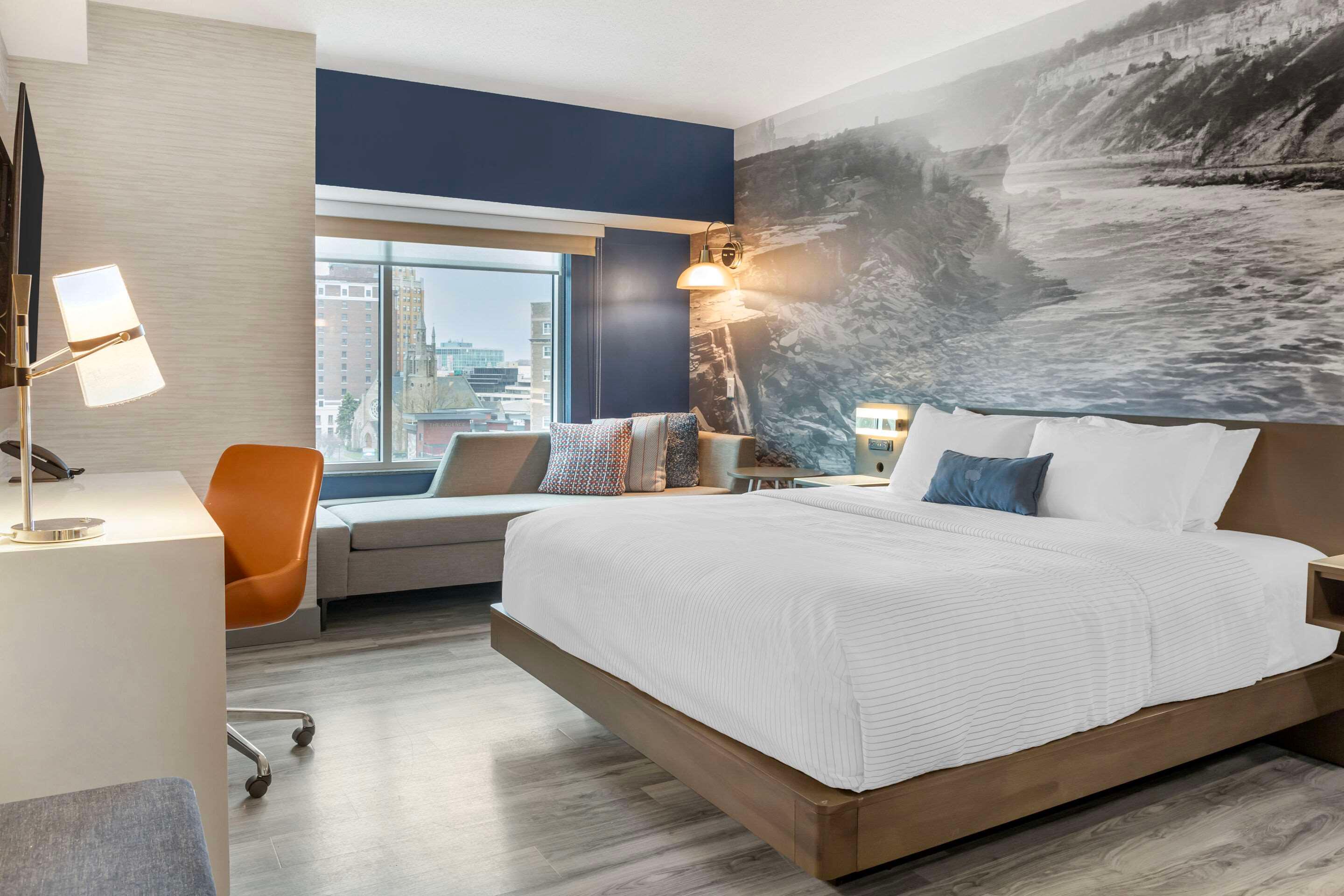 Suite Accessible King Size Bed