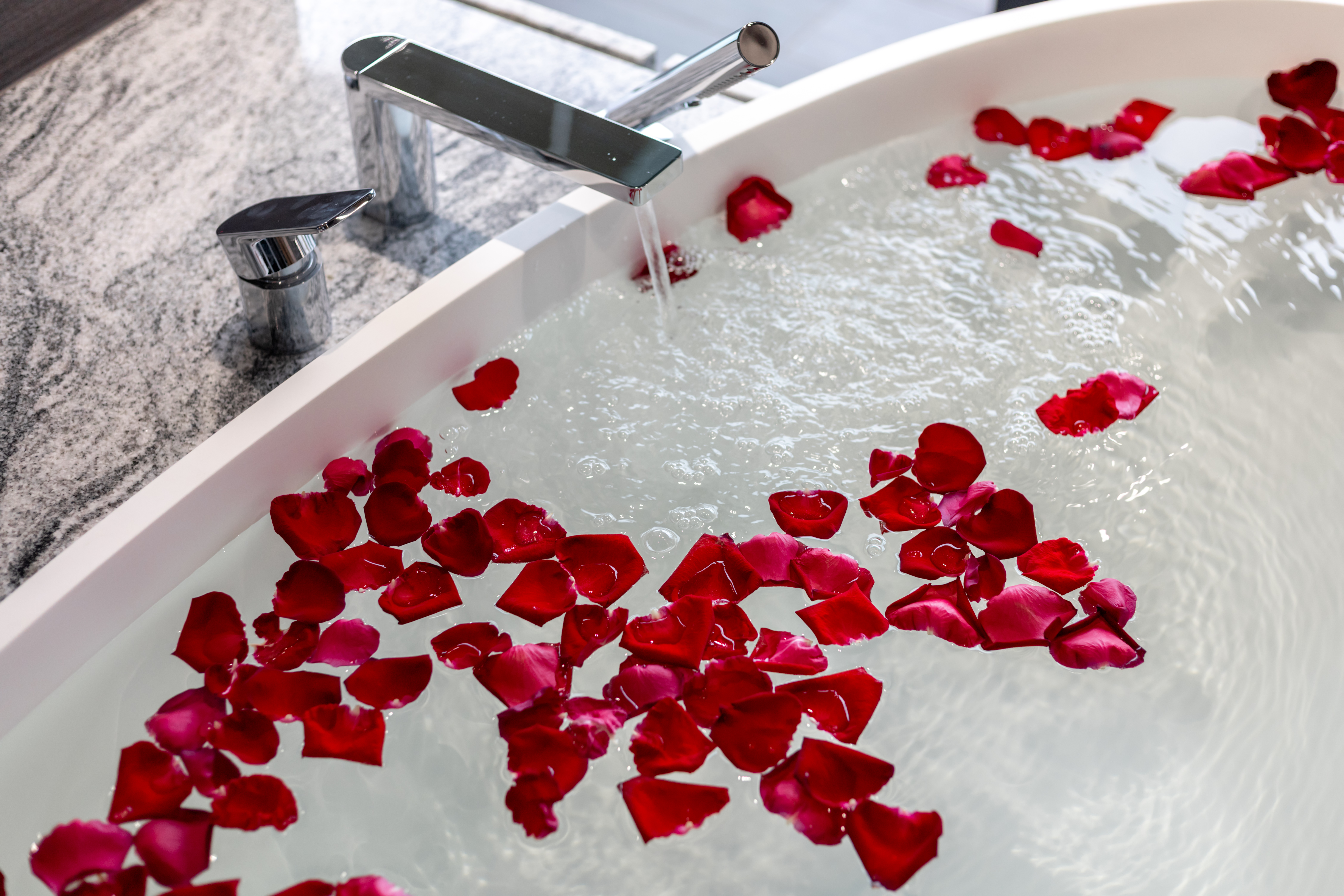 Suite Penthouse with Views