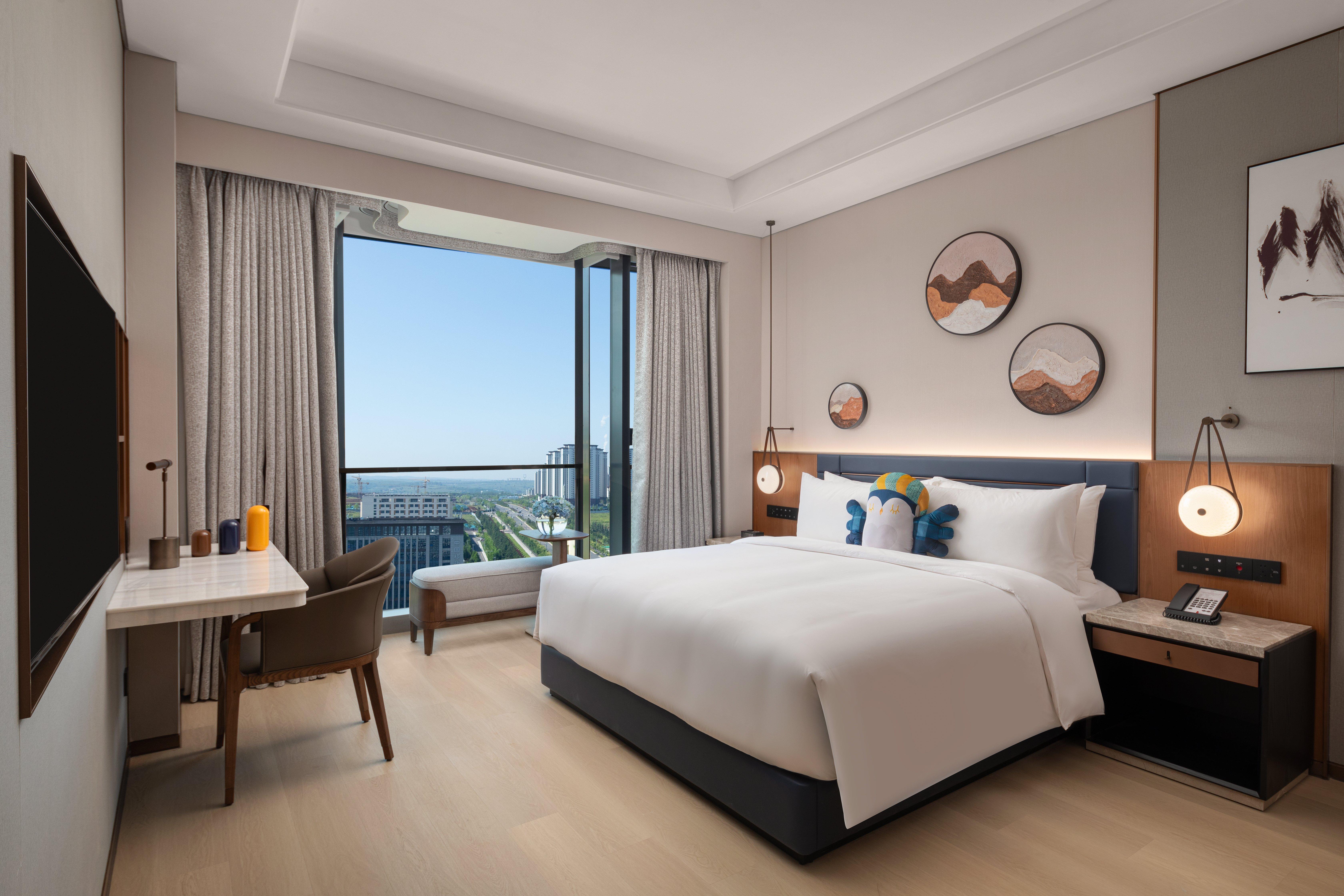 Double City View King Bed