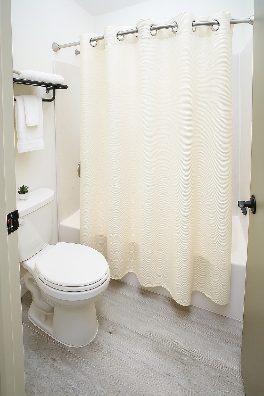 Family Room Queen Size Bed