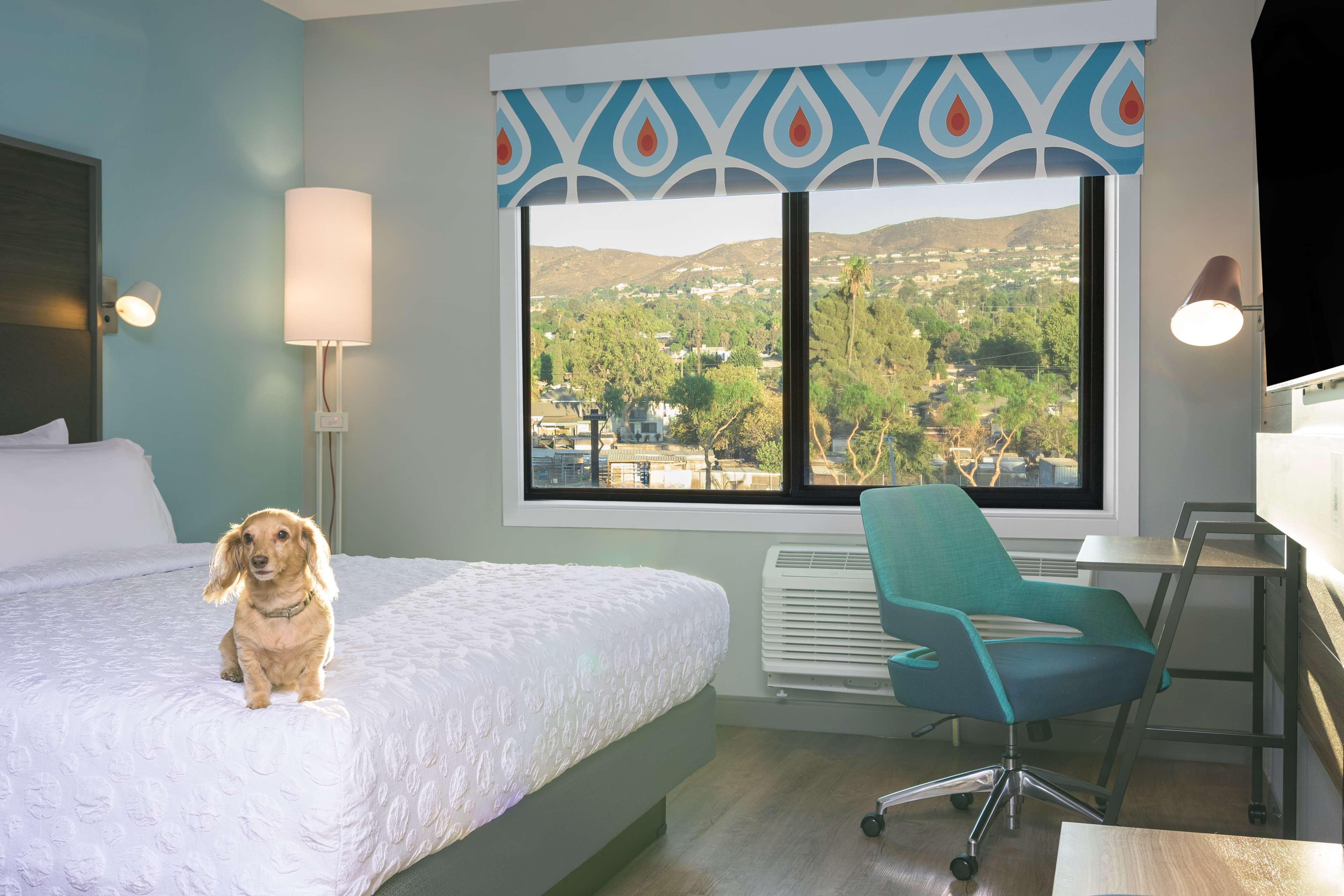 Twin Accessible-two Queen Beds