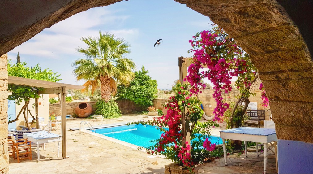 Apartment One Bedroom