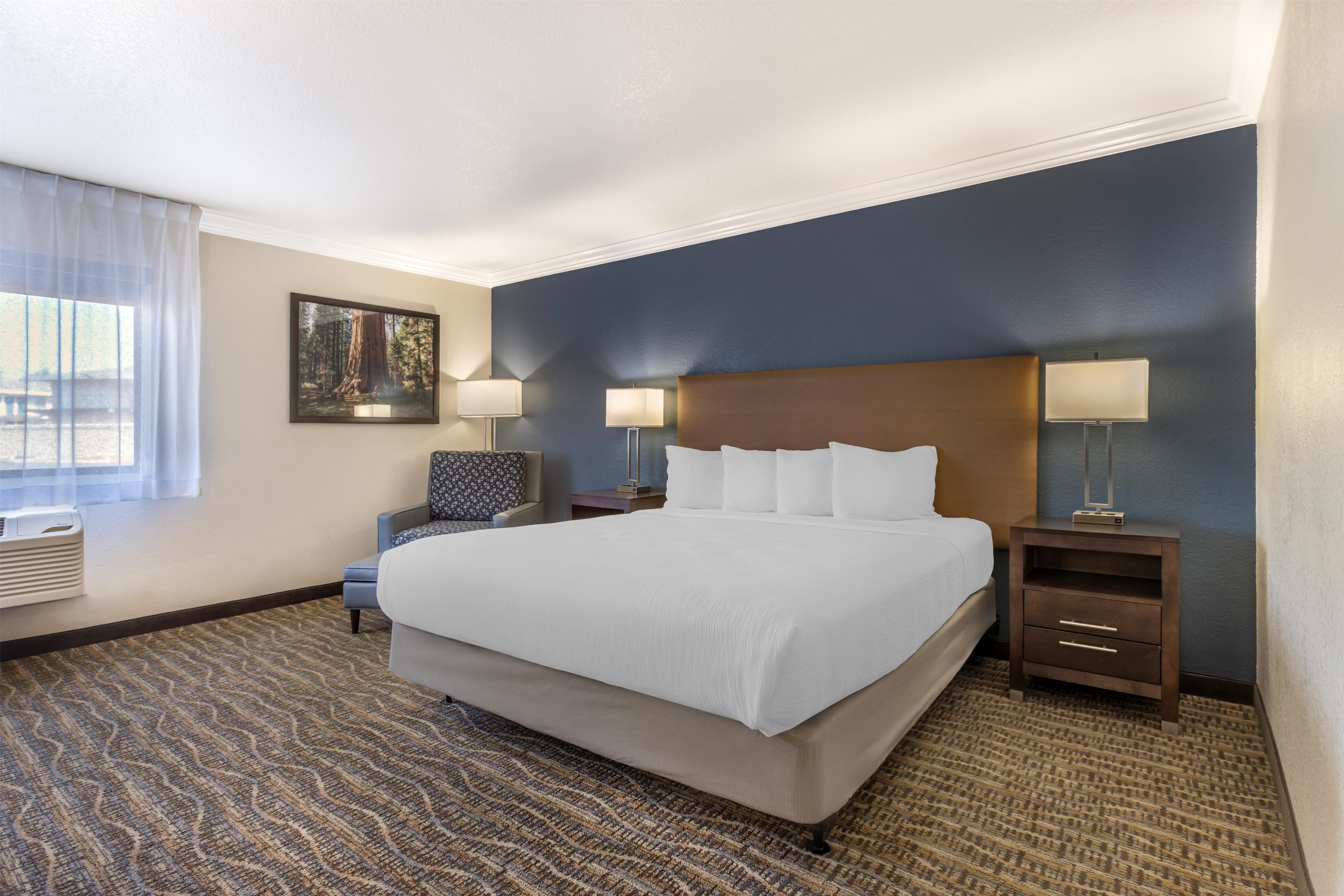 Room King Bed Non Smoking