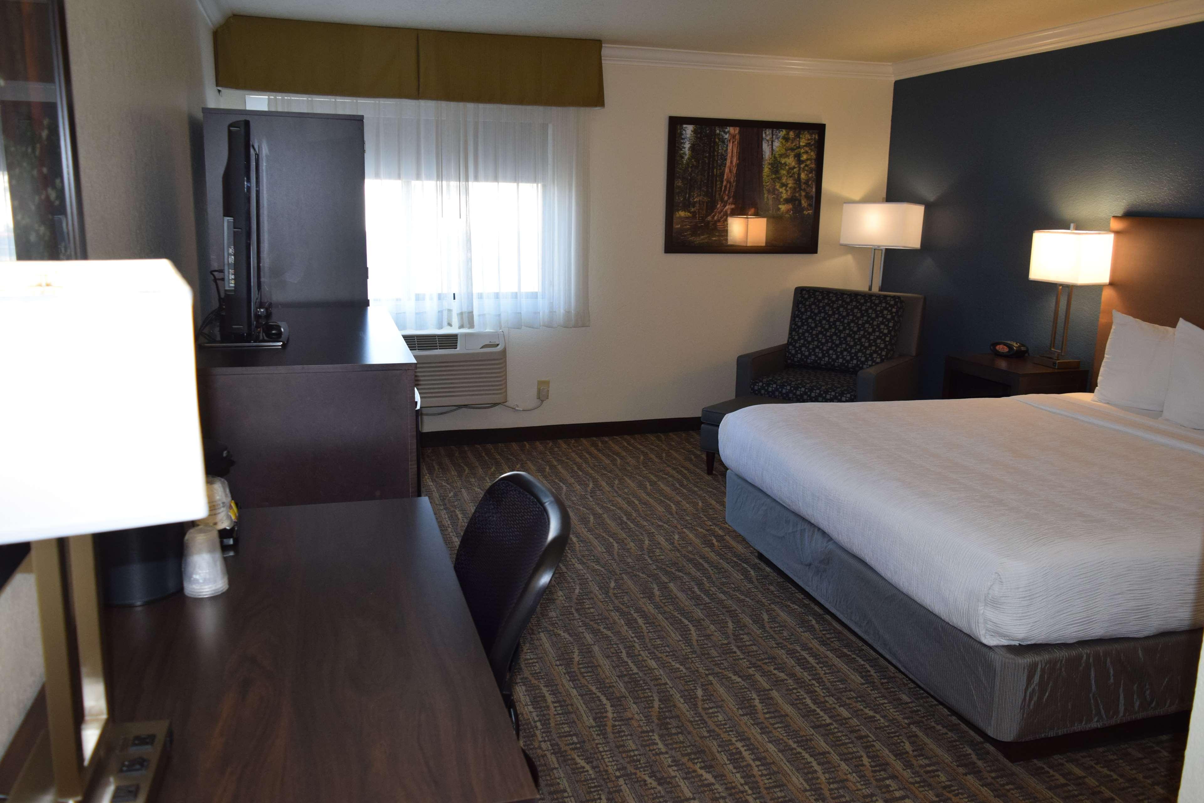 Room King Bed Non Smoking