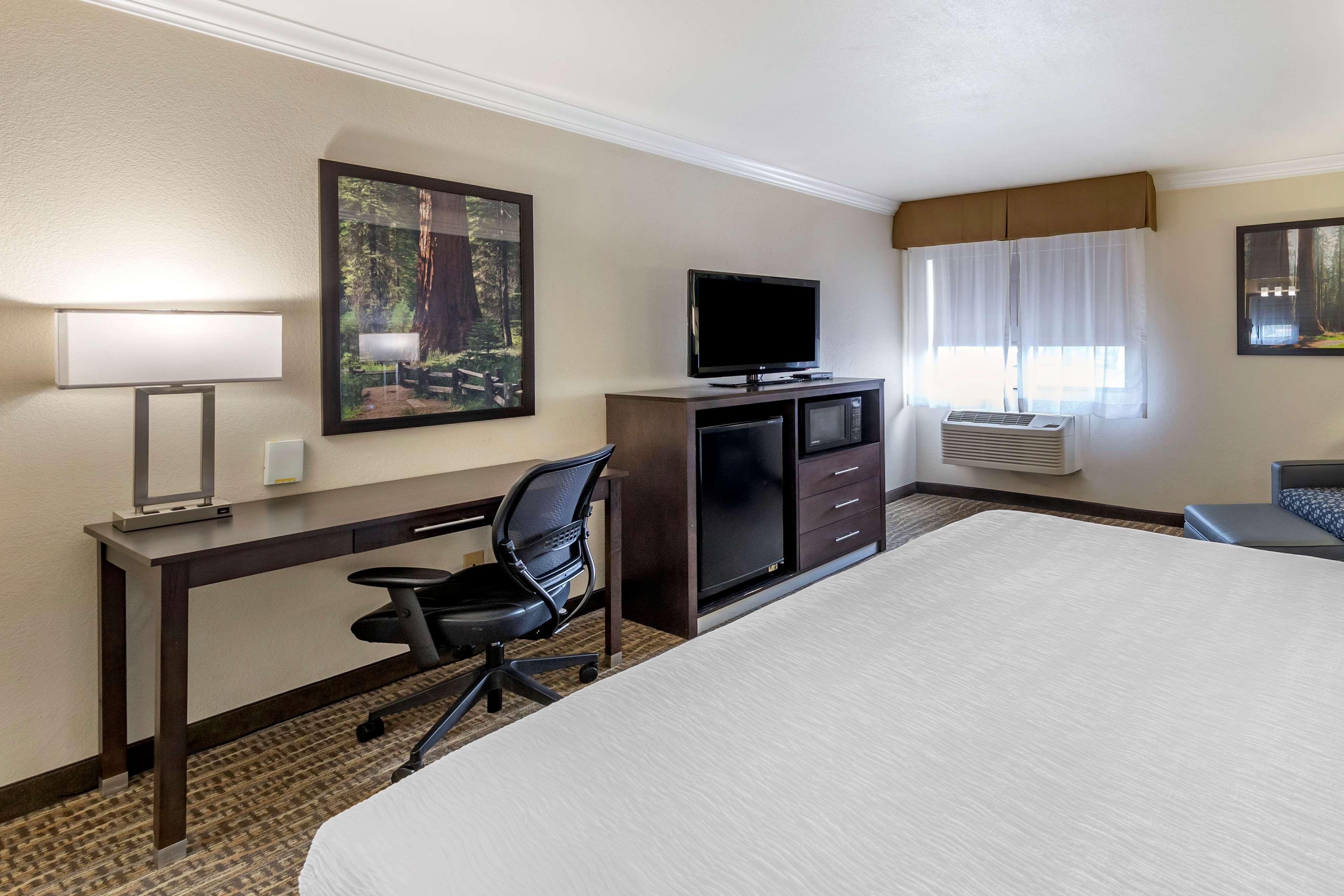 Room King Bed Non Smoking