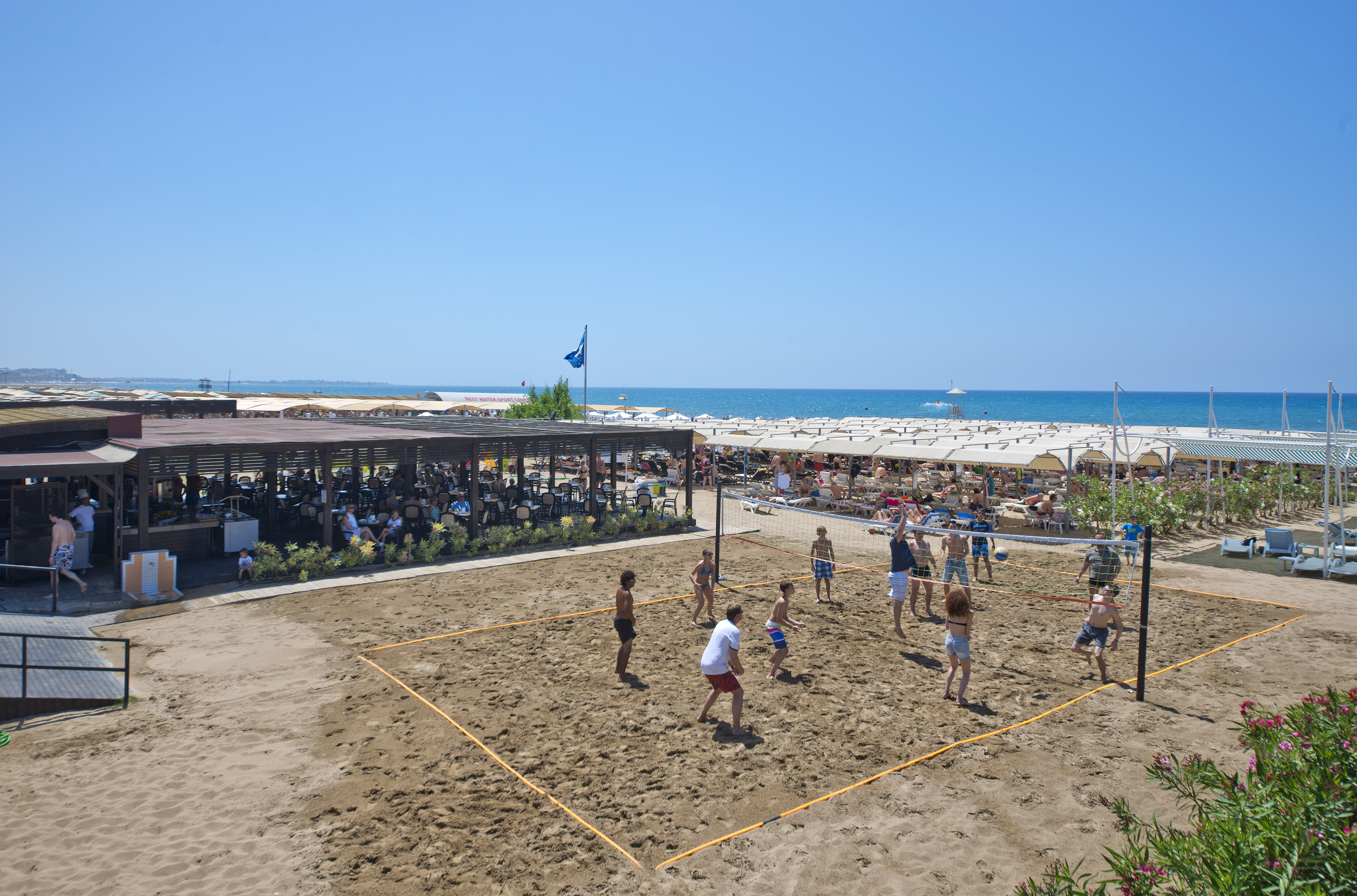 Sports and Entertainment