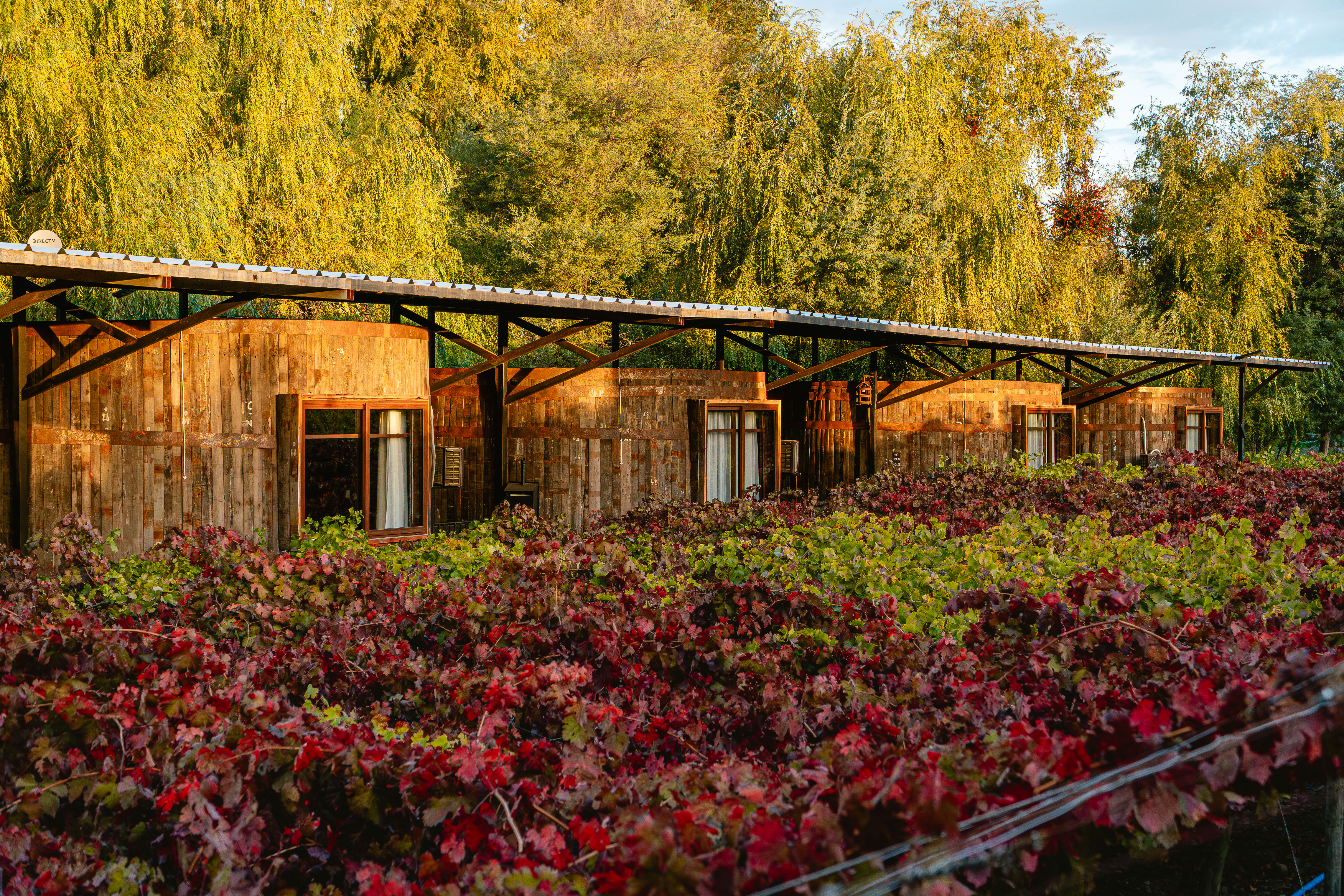 Double Deluxe King Bed