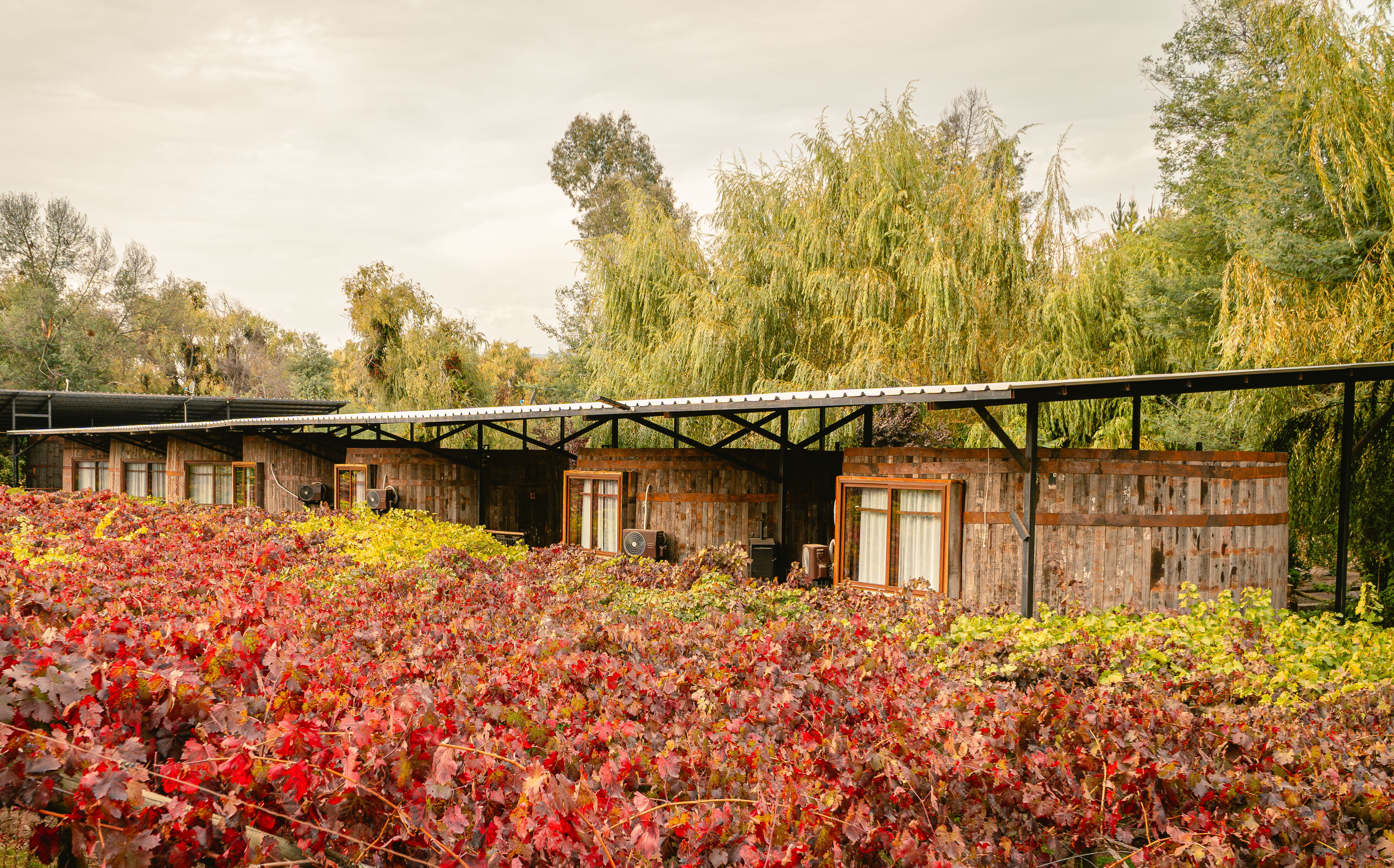 Double Deluxe King Bed