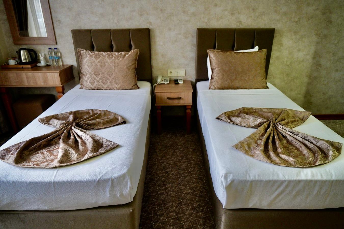 Double or Twin Economy