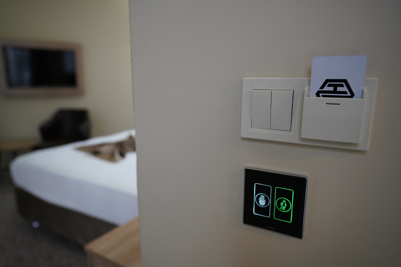 Double or Twin Economy