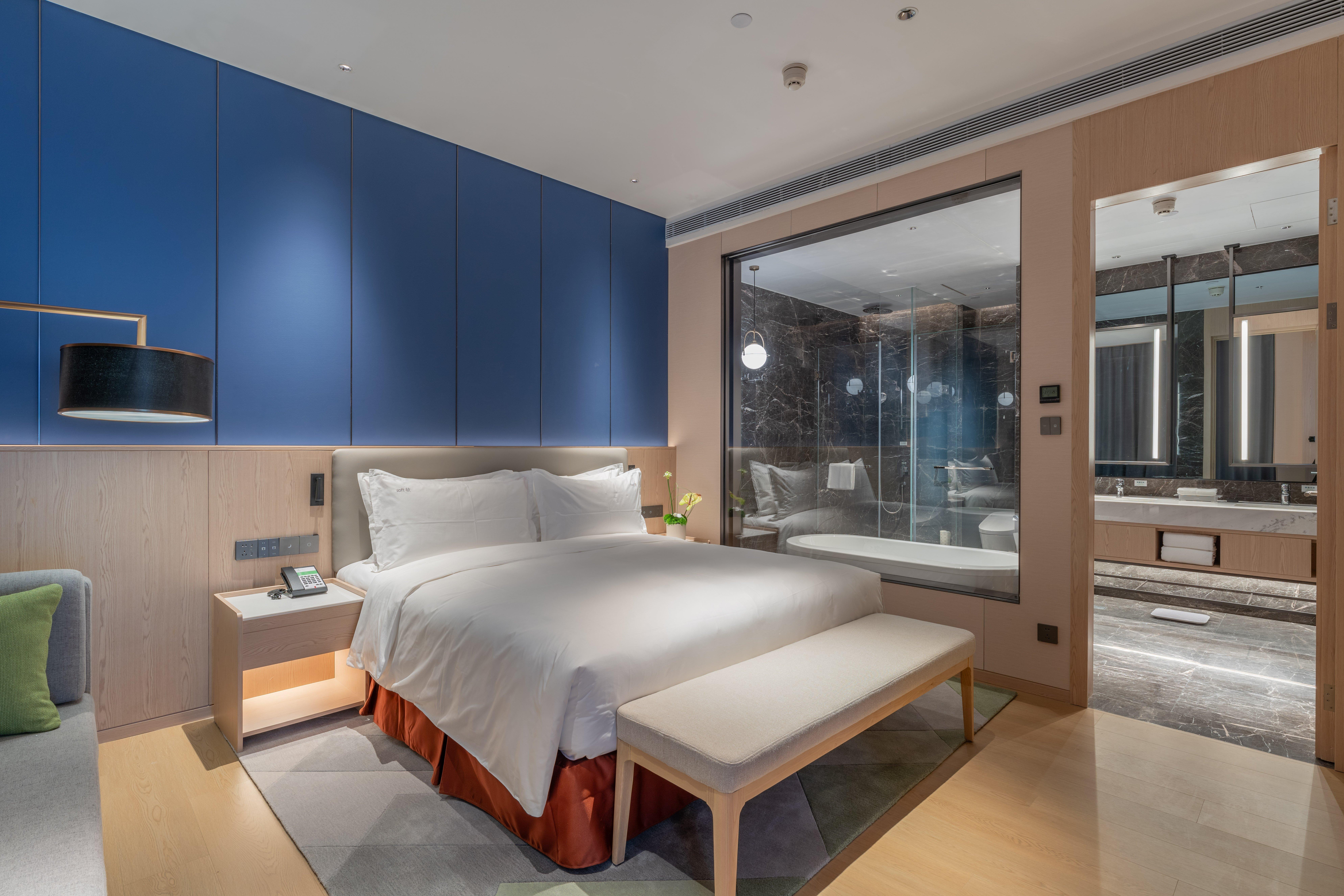 Suite King Bed One Bedroom 