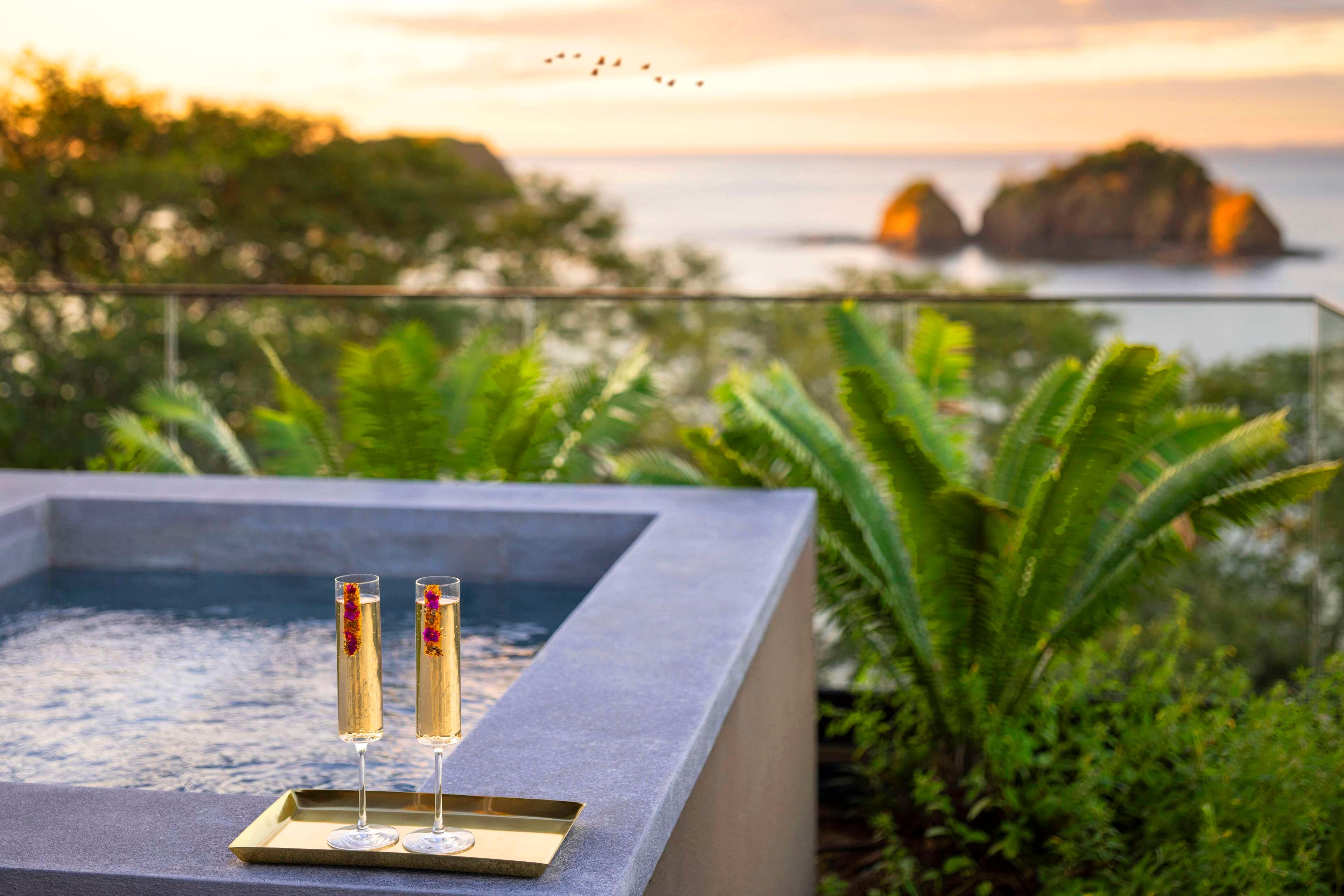 Suite King Bed One Bedroom 