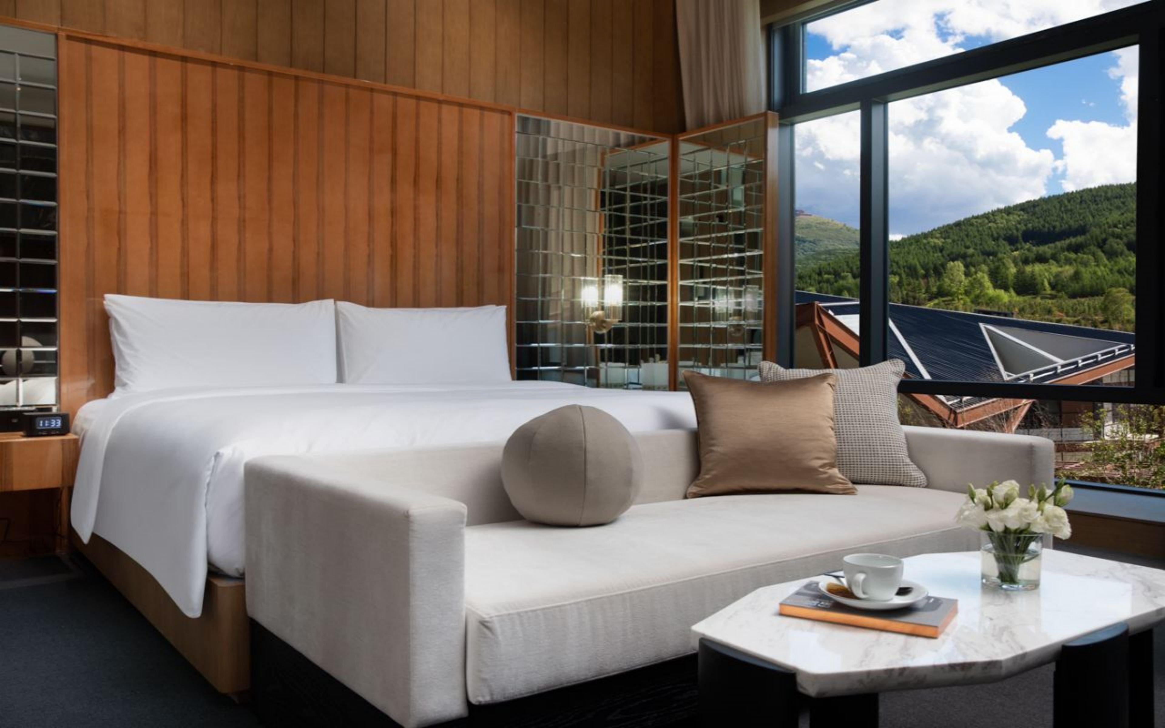 Double Classic Mountain View