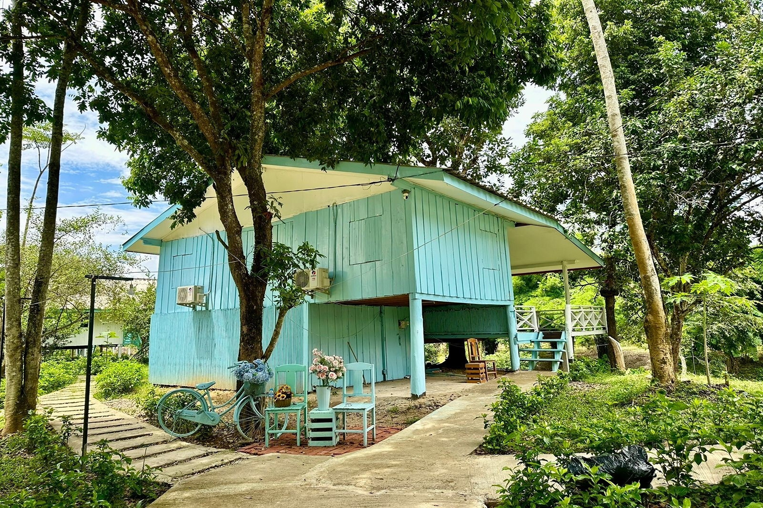 Family Room Standard