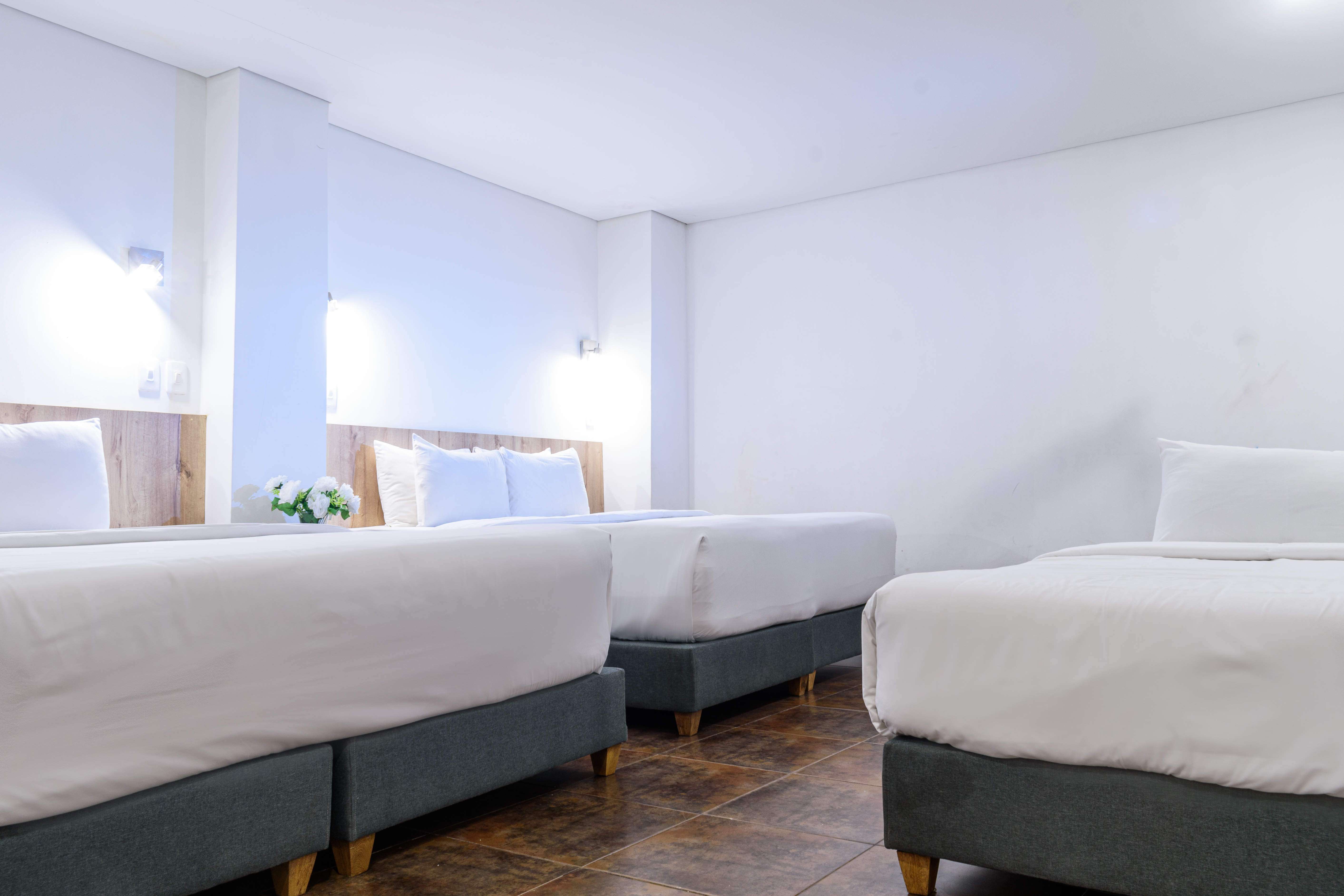 Family Room Standard