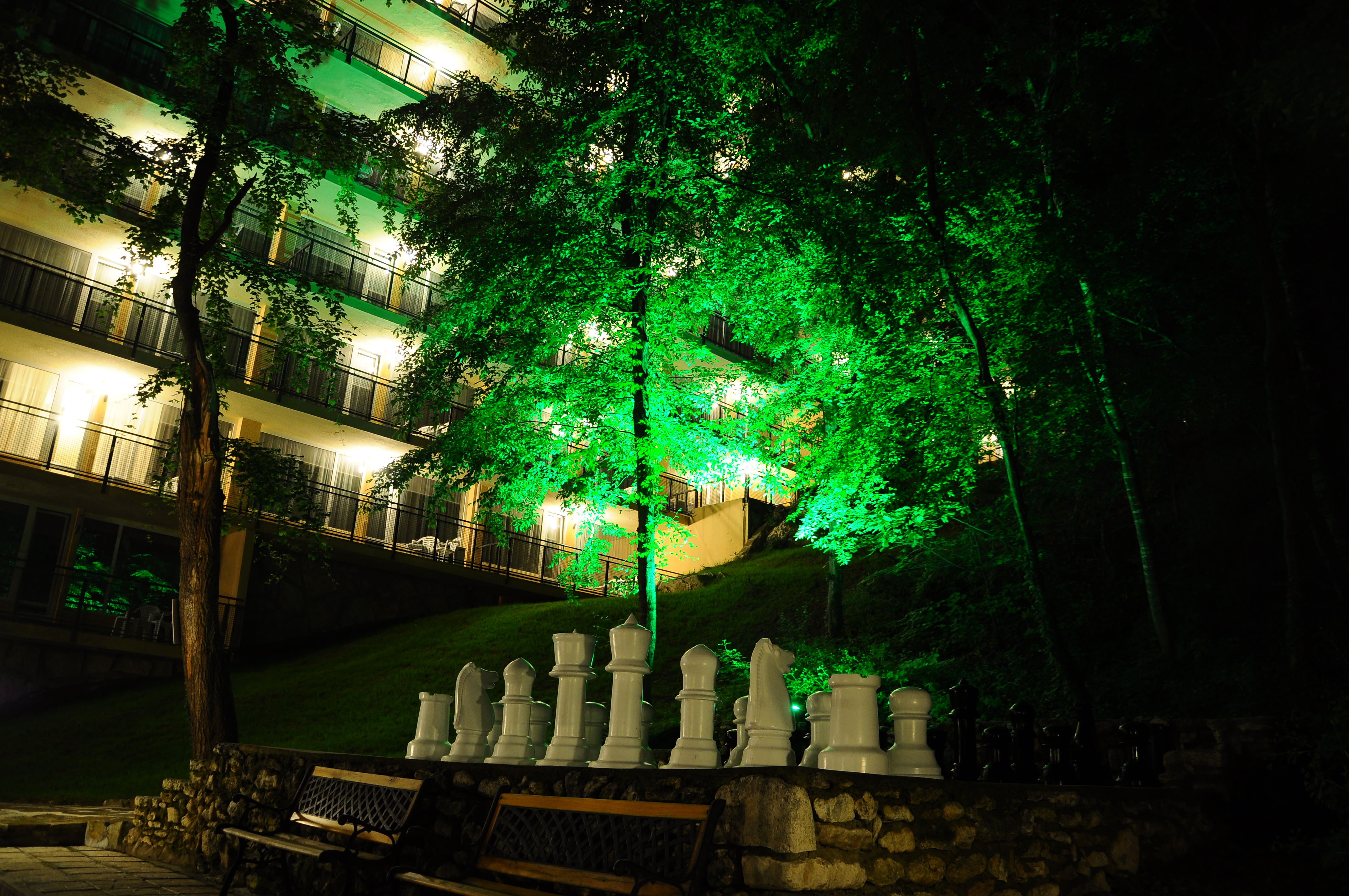 Sports and Entertainment