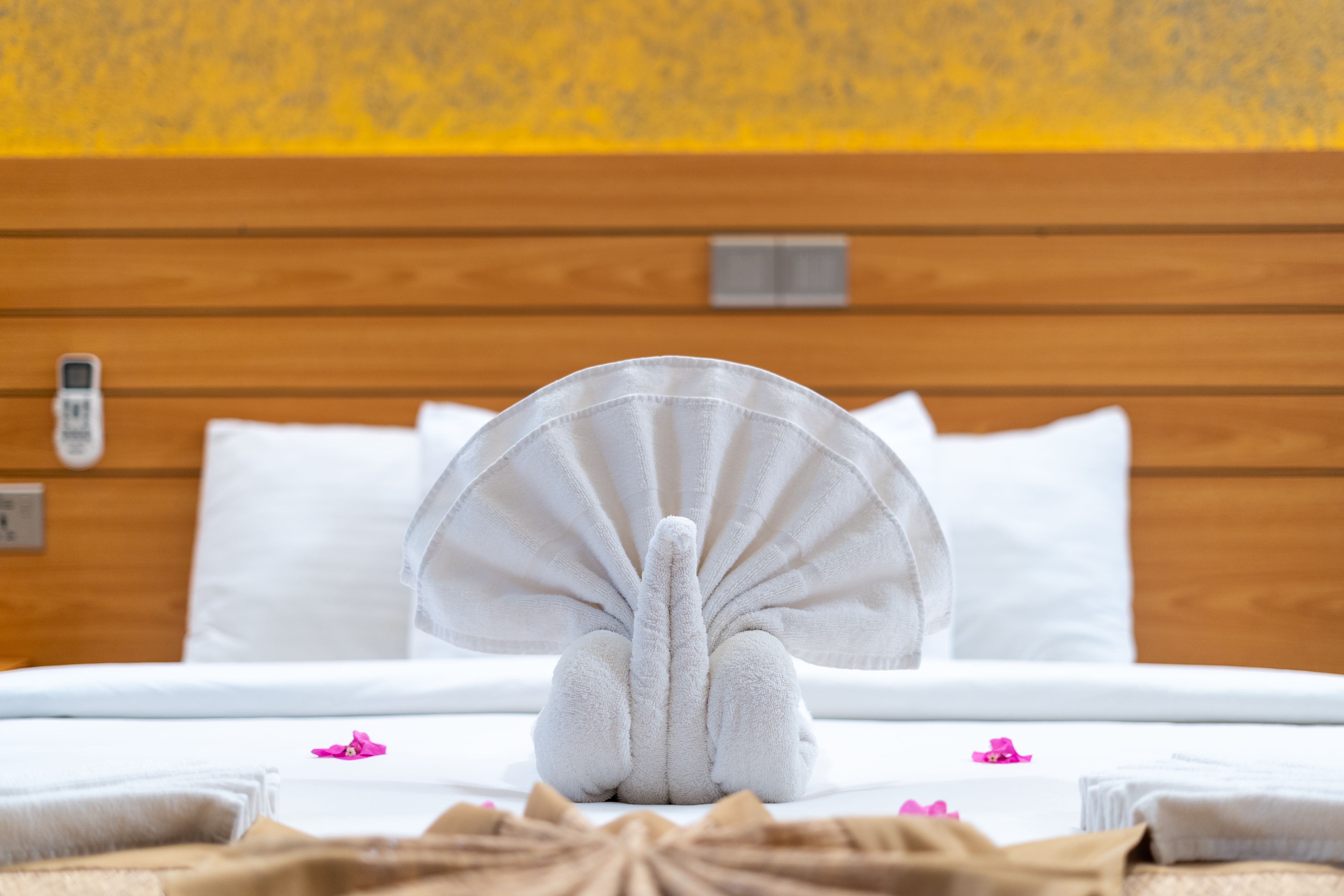 Double or Twin Deluxe