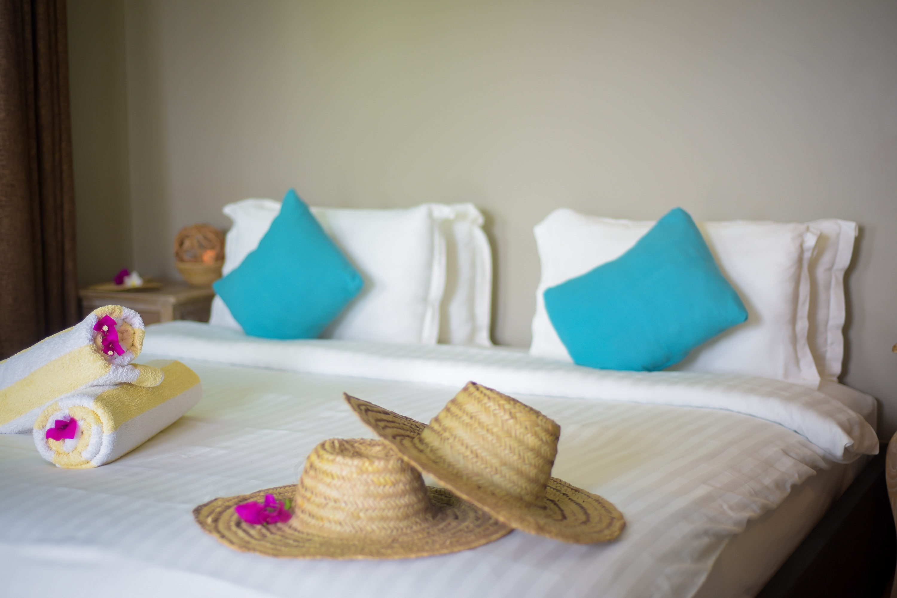 Junior Suite Garden View