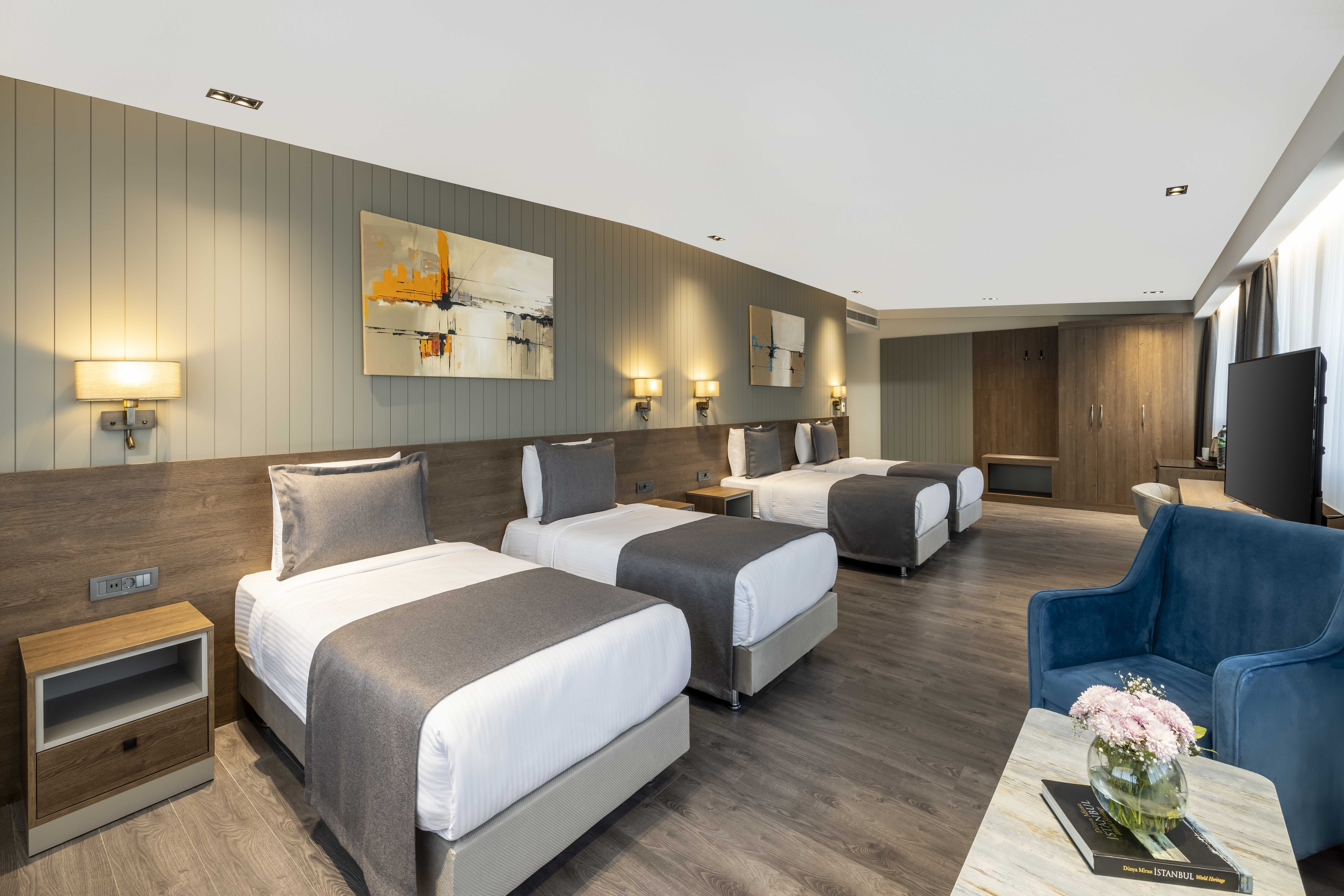 Family Room City View