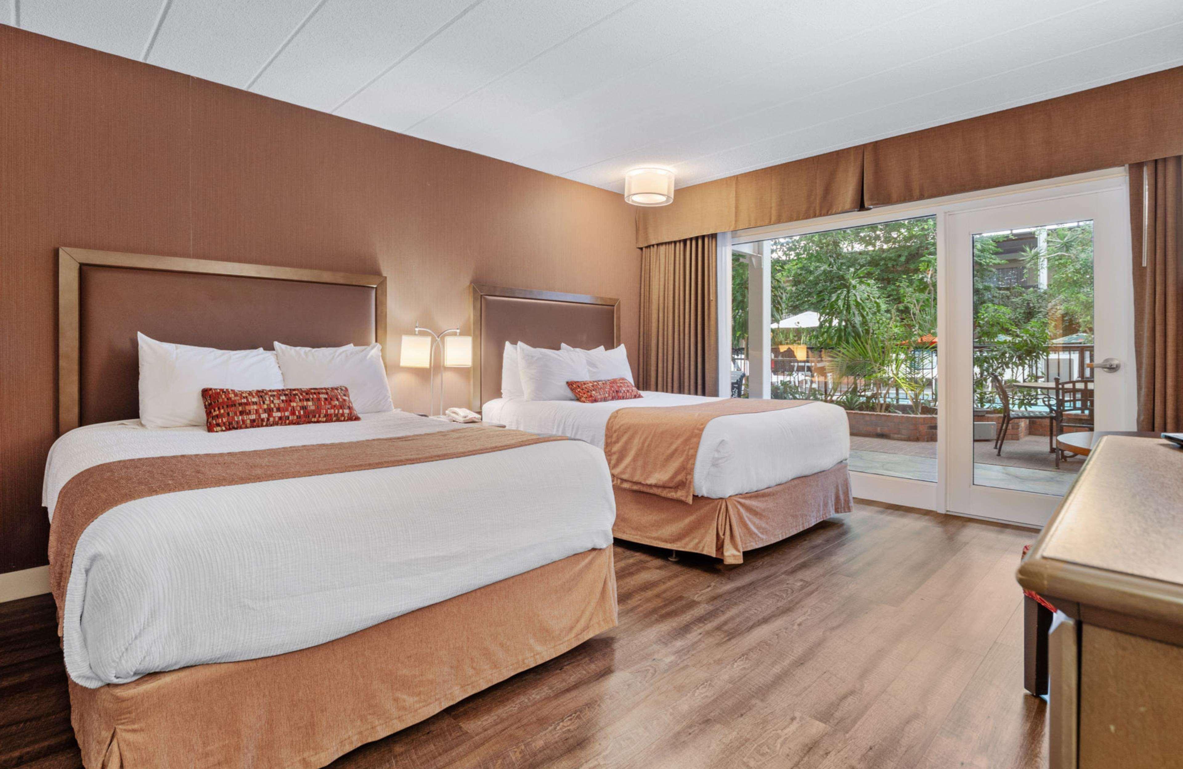 Quadruple Two Queen Beds