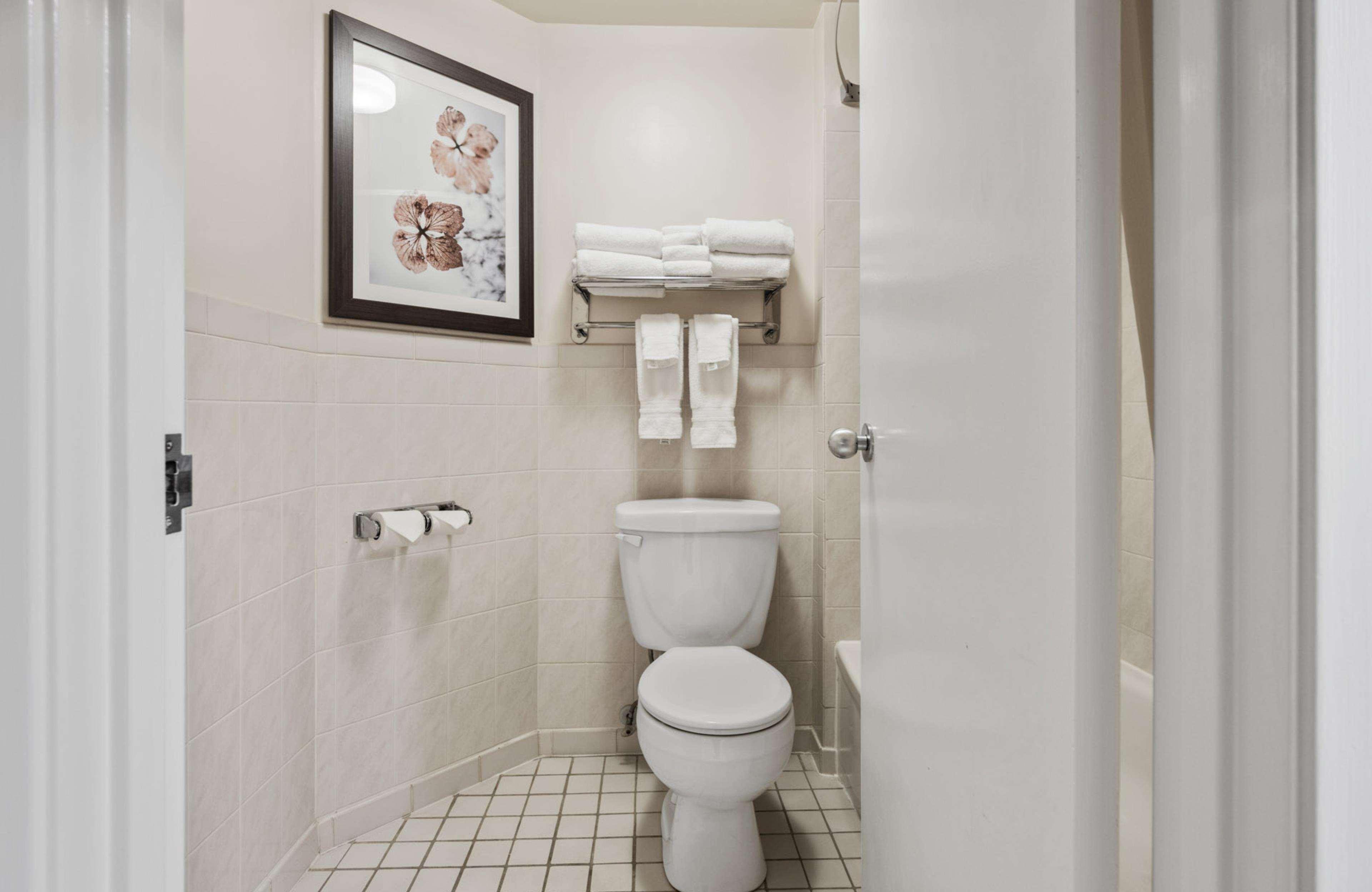 Quadruple Non Smoking