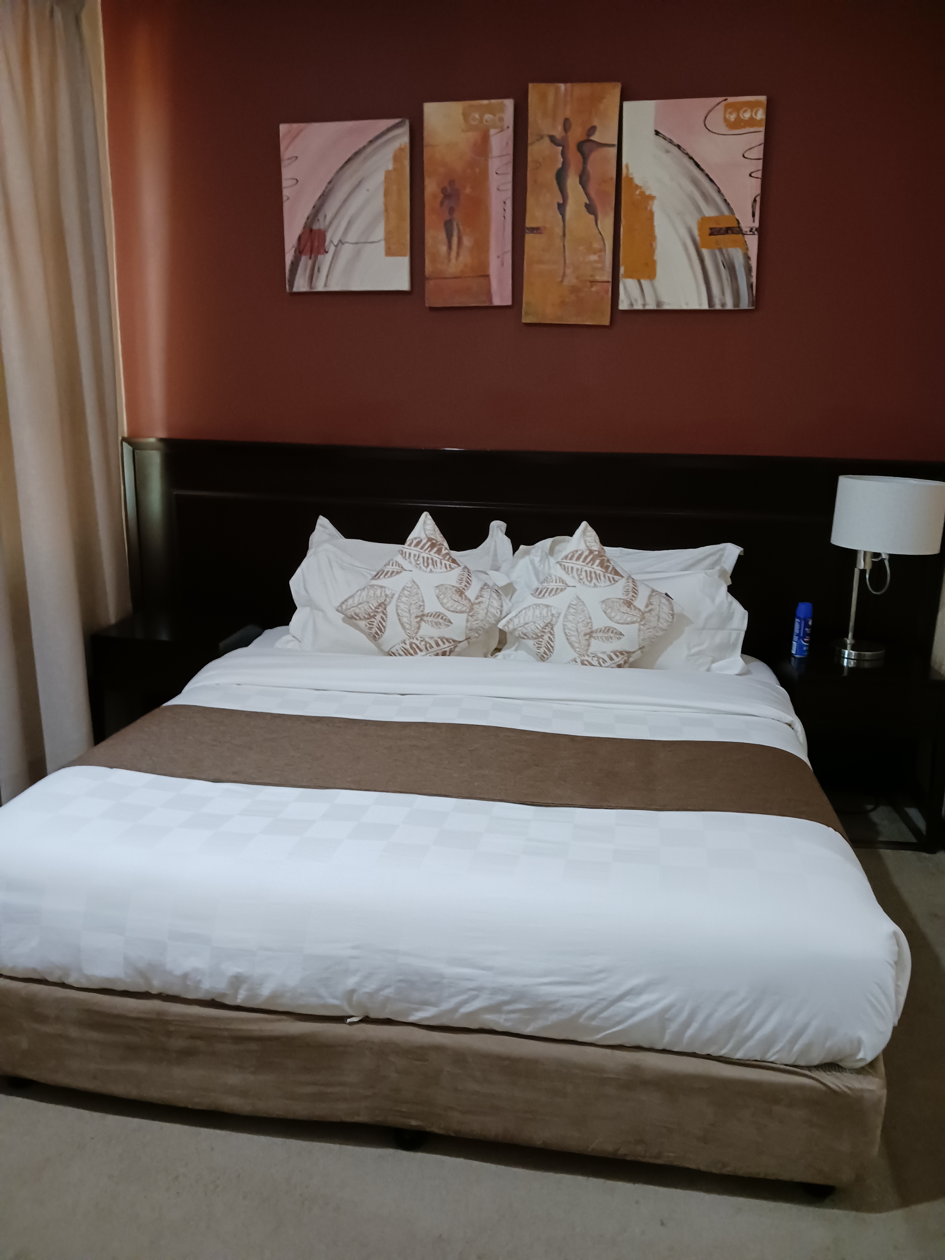 Suite King Bed One Bedroom 