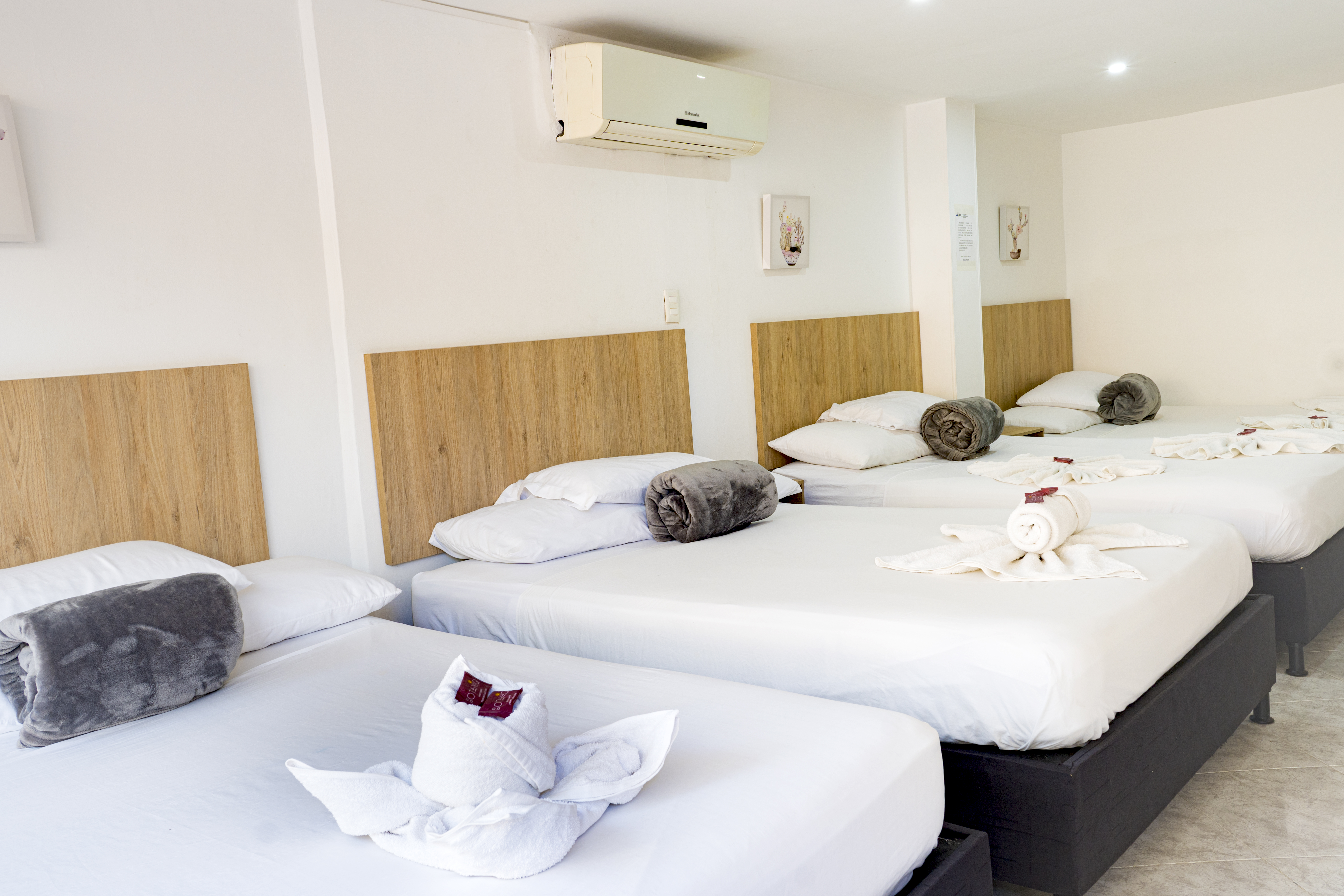 Family Room Standard