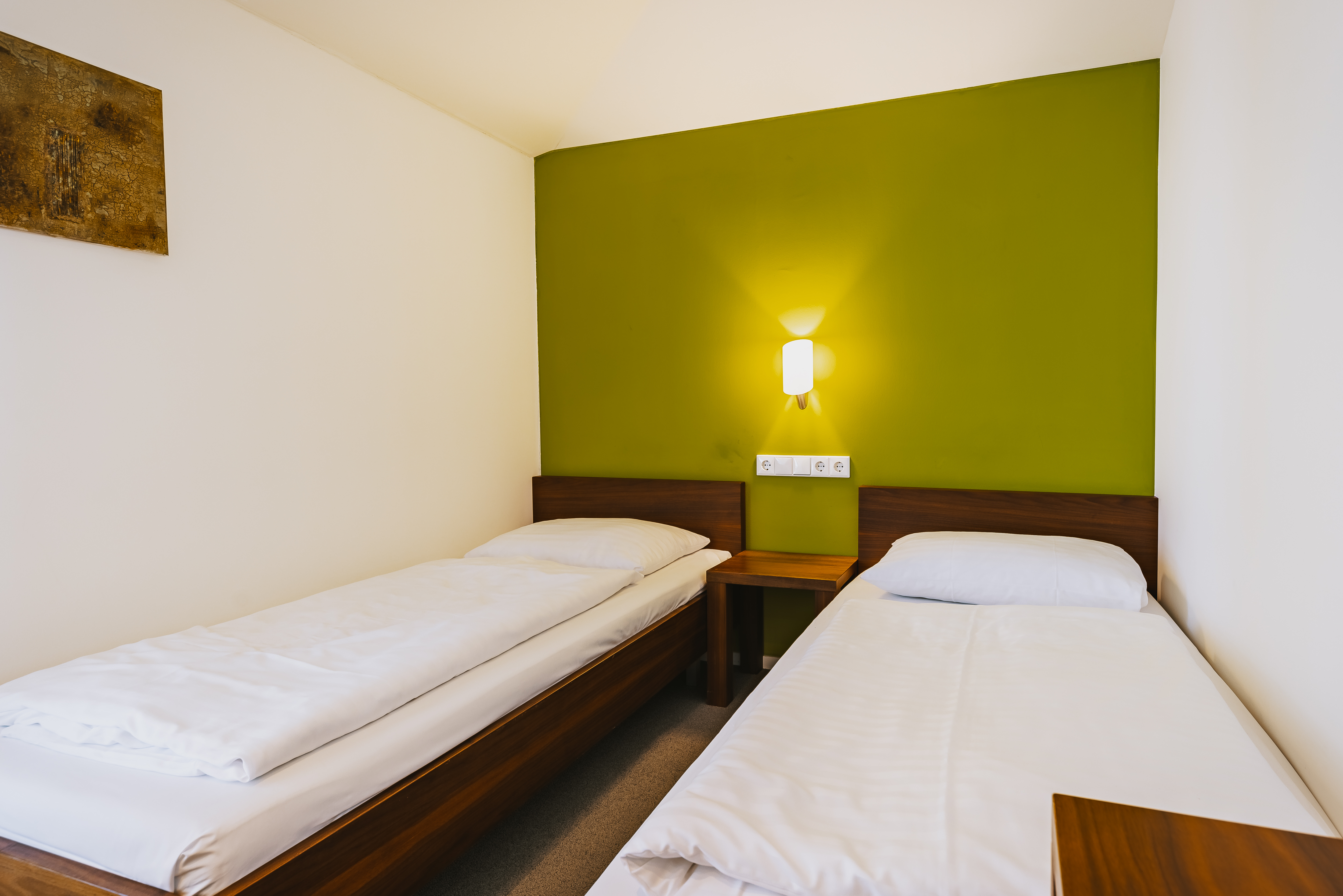 Apartment Classic with Balcony