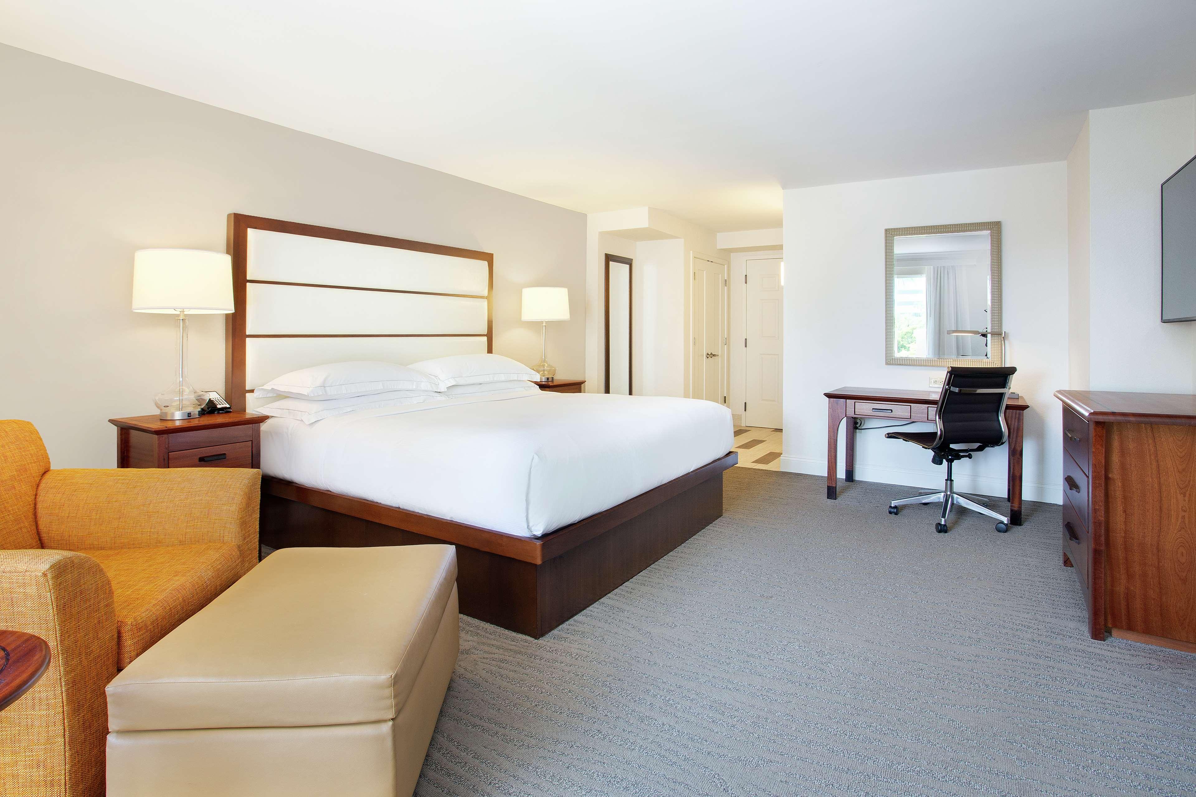 Suite King Bed One Bedroom 