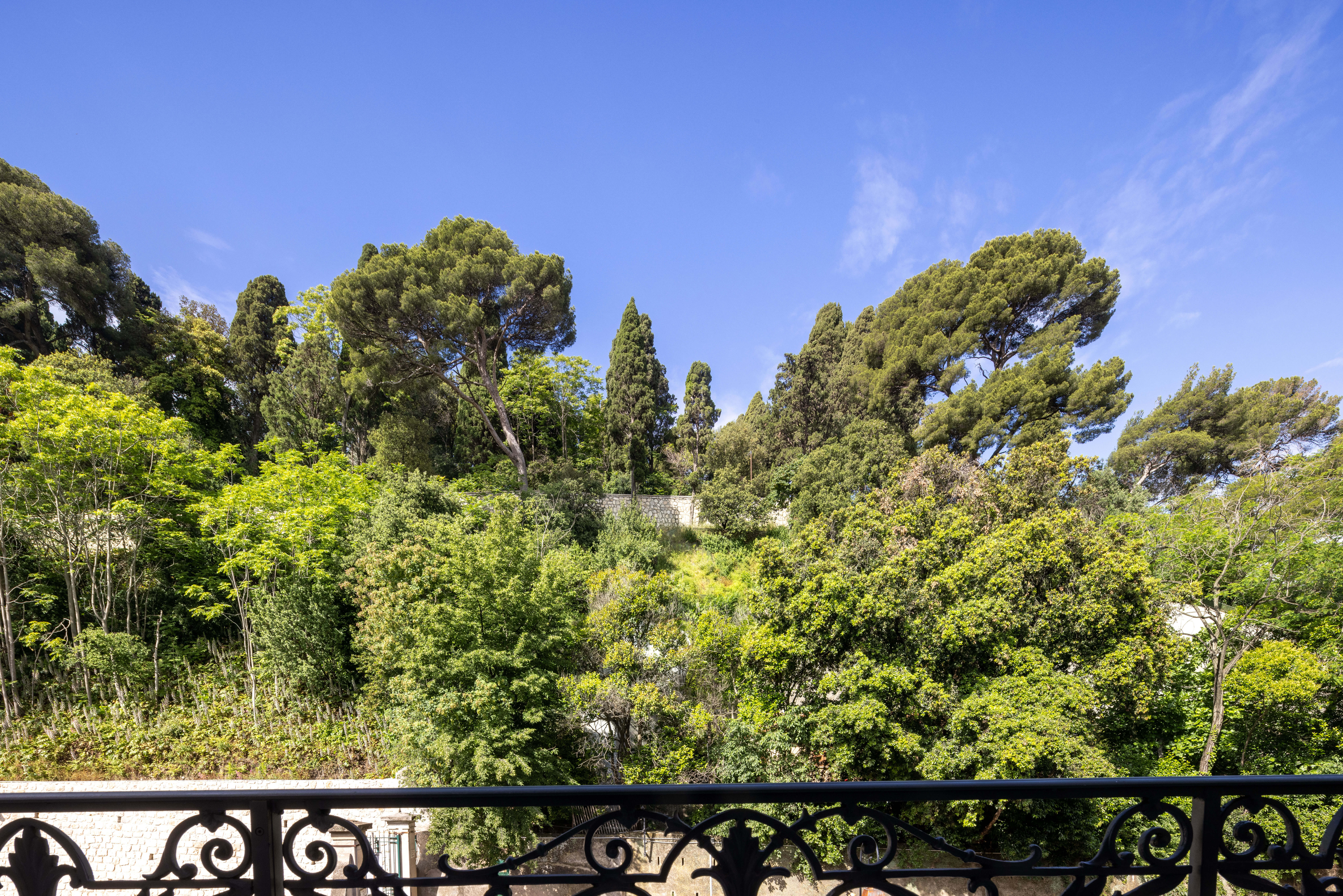 Suite Deluxe with Balcony