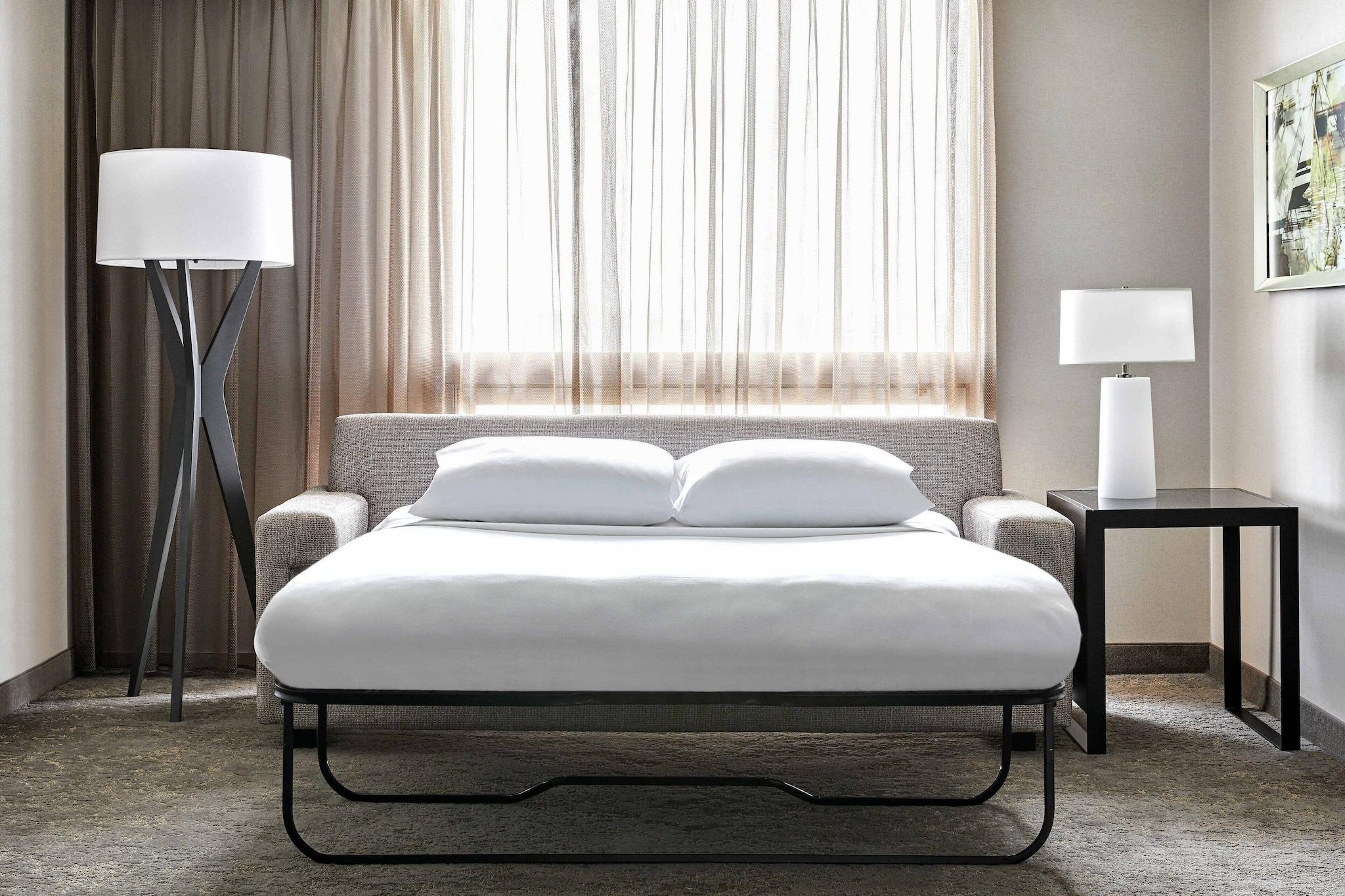 Suite King Bed One Bedroom 