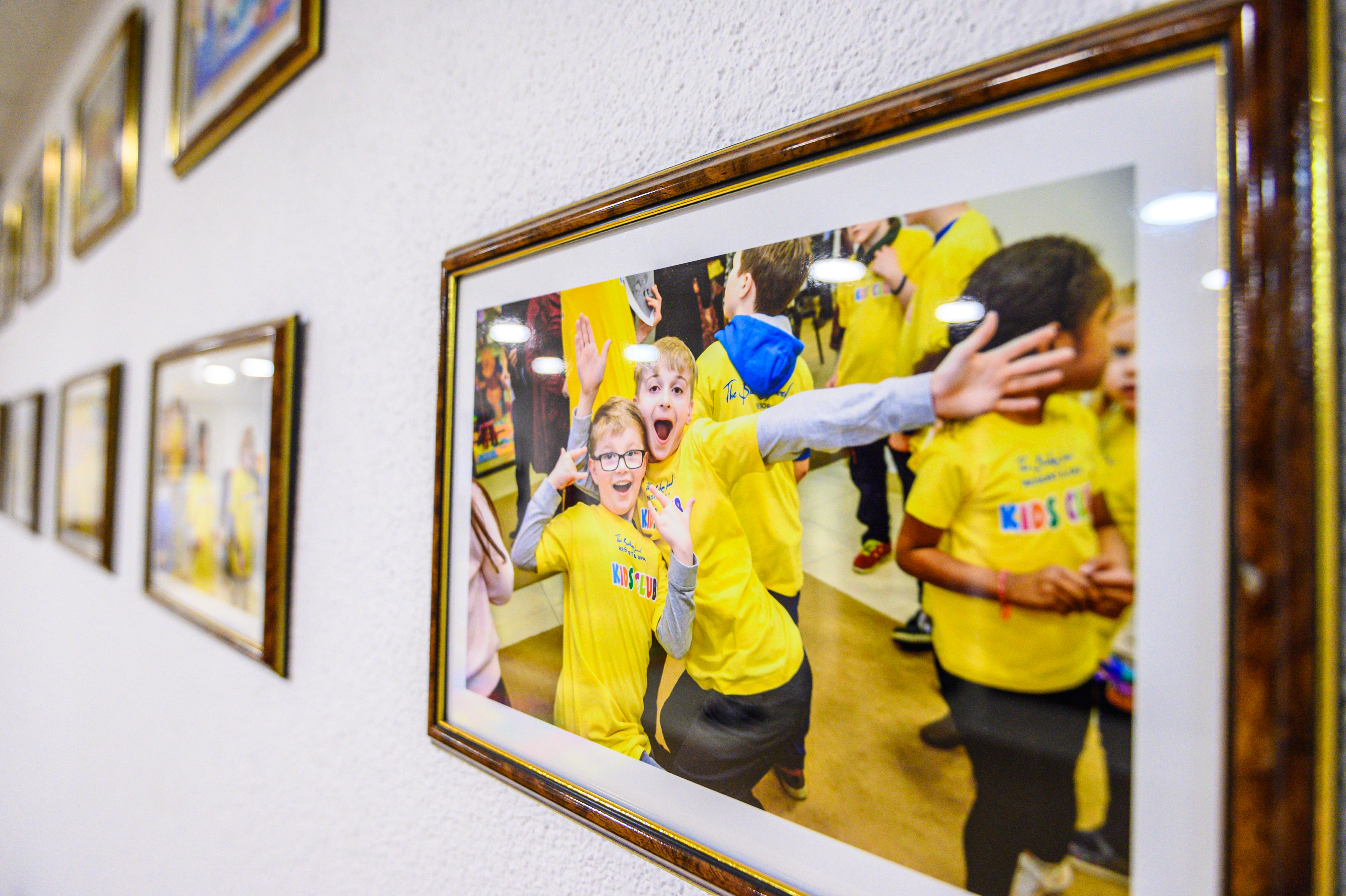 Sports and Entertainment