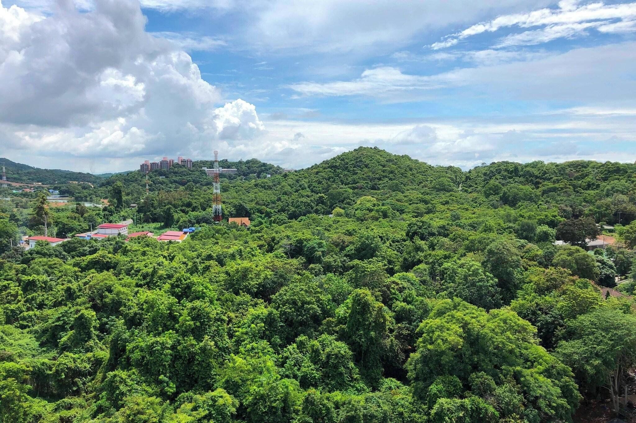 Double Mountain View