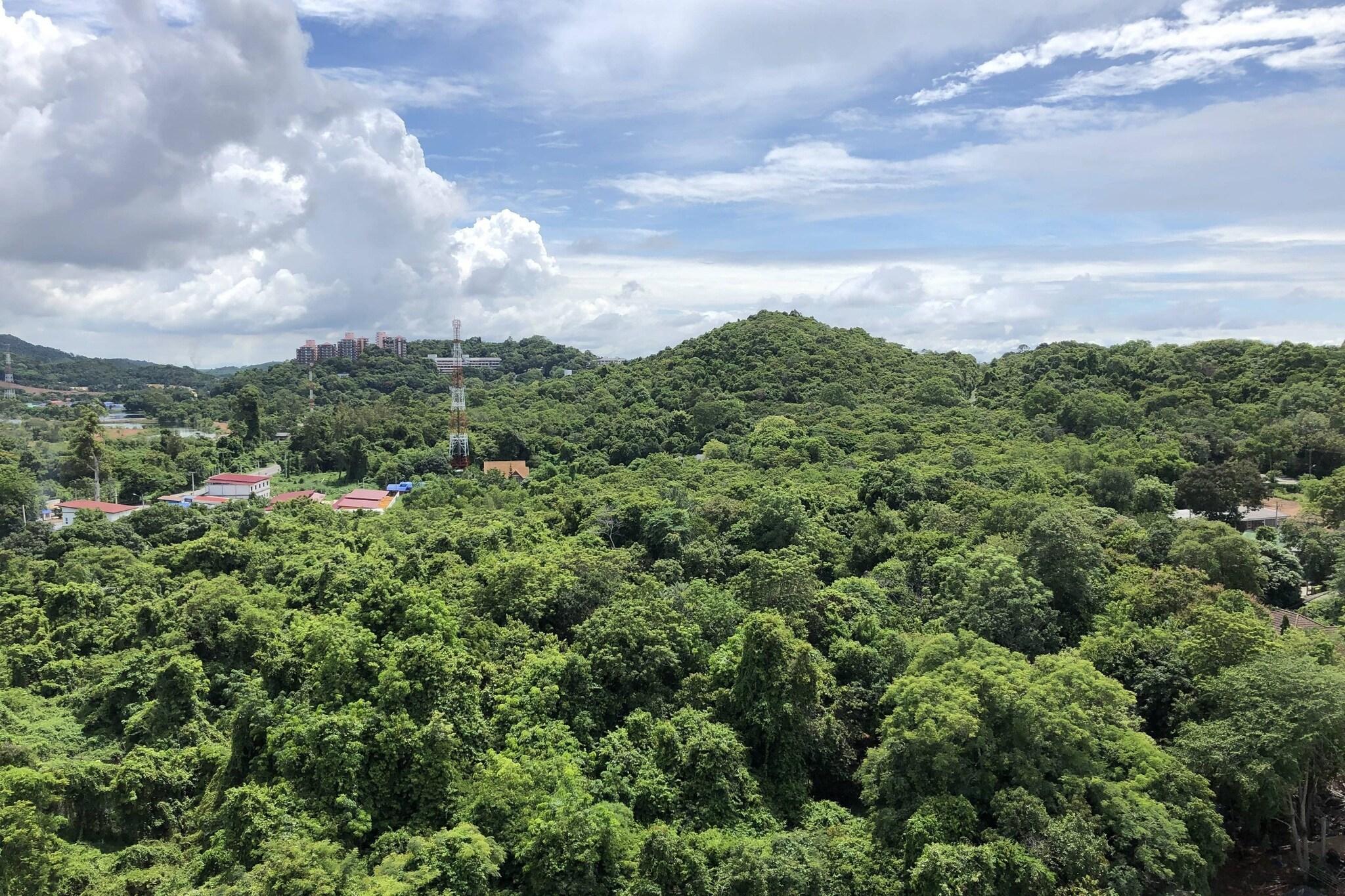 Double Mountain View