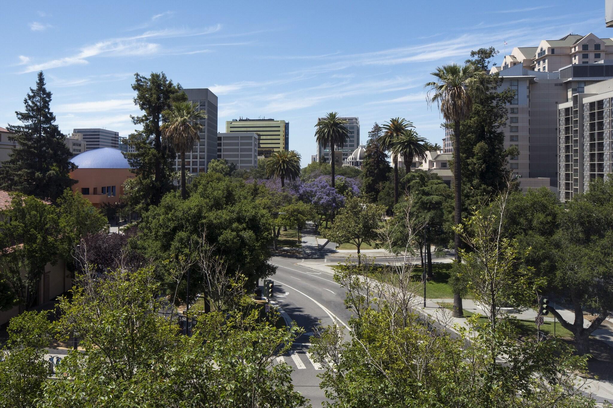 Junior Suite City View King Bed