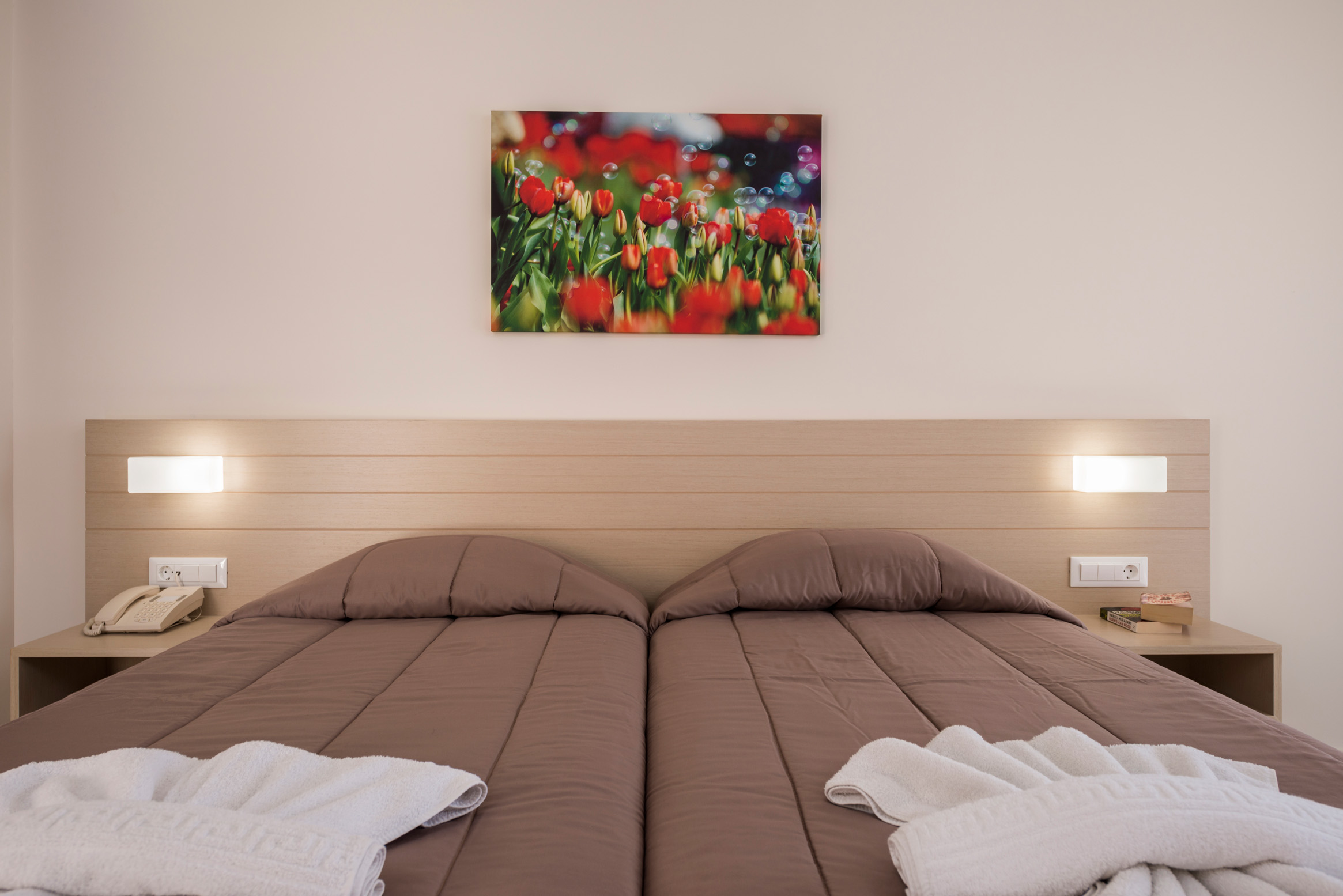 Double or Twin Standard