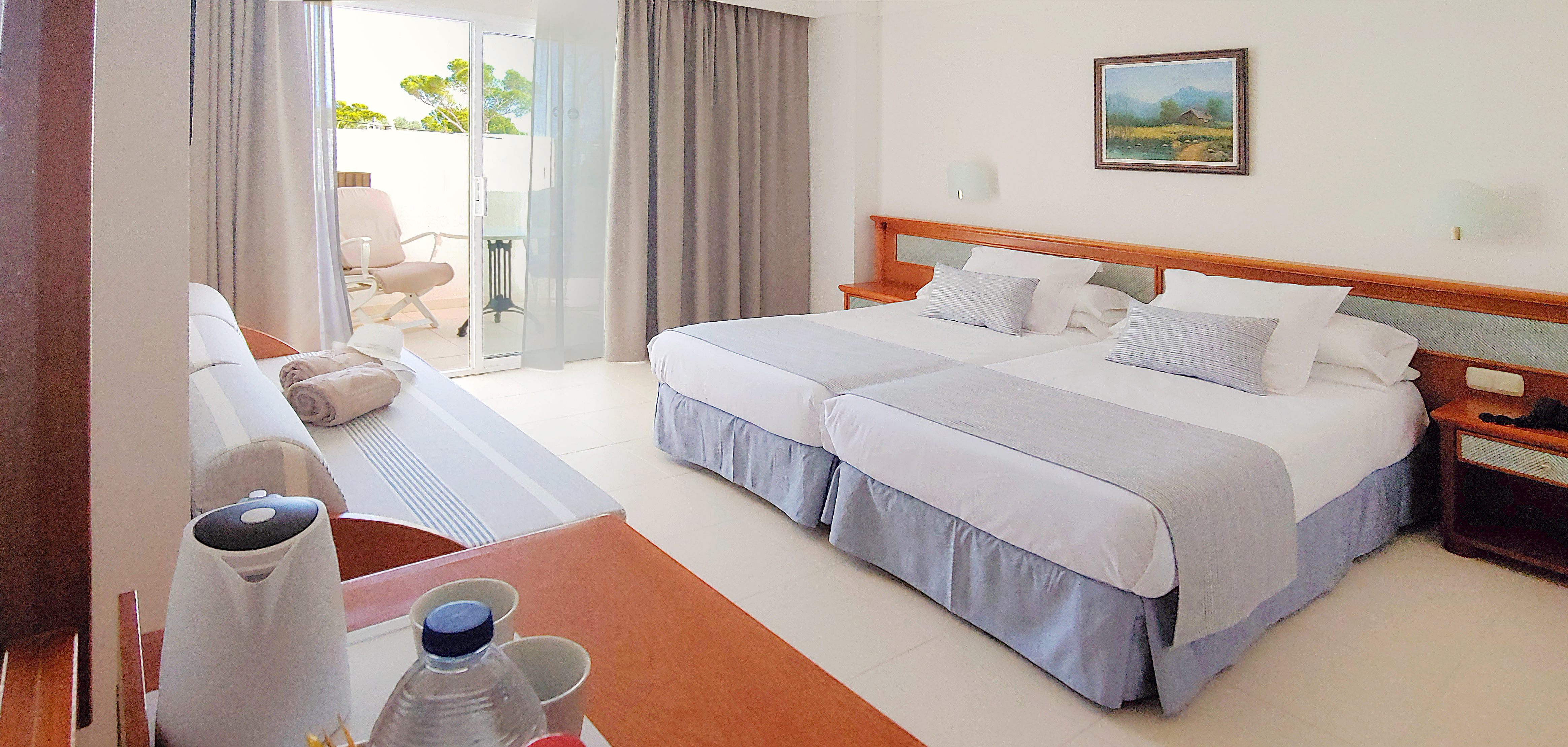 Double or Twin Superior