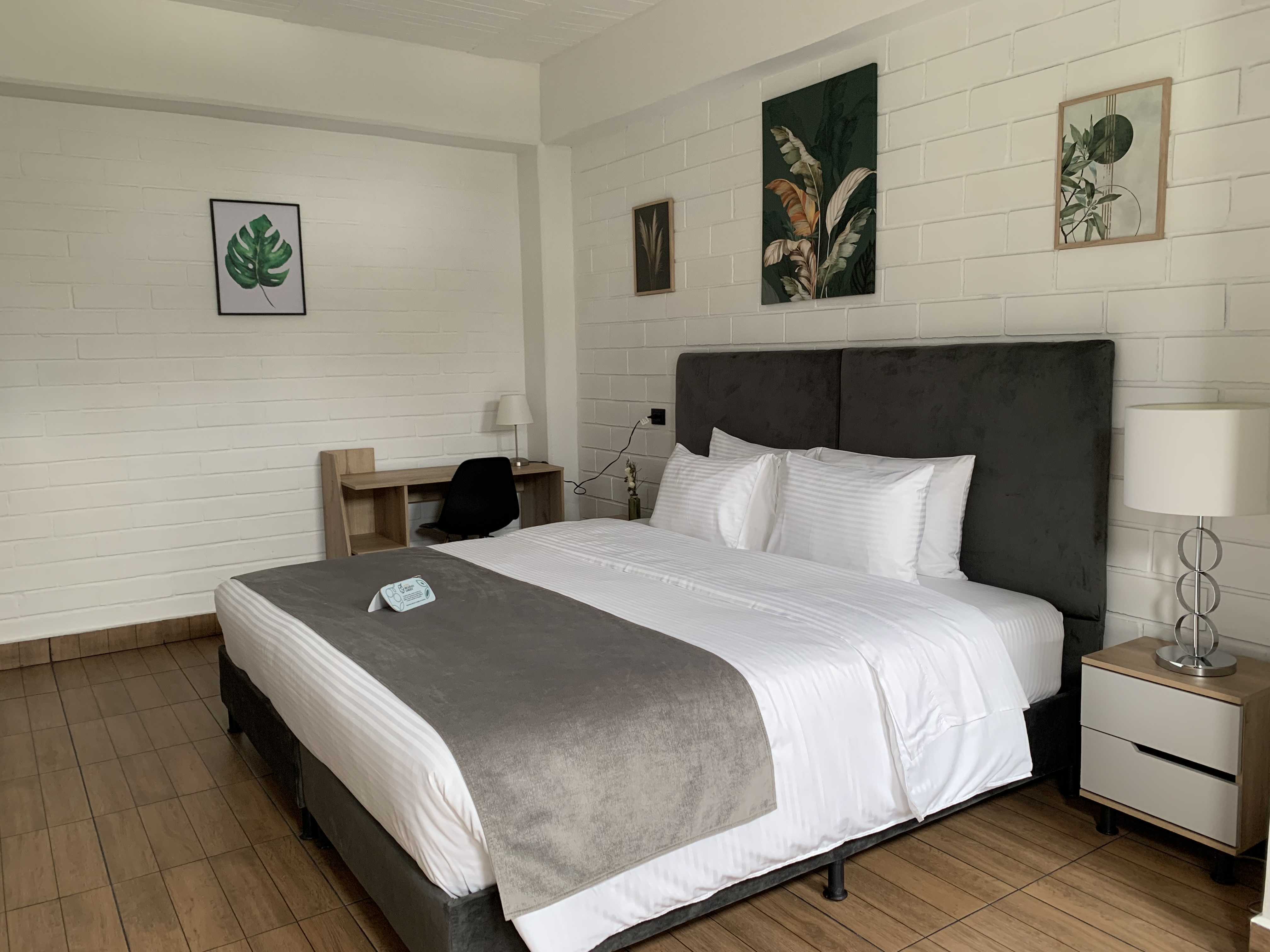 Junior Suite Deluxe One Bed