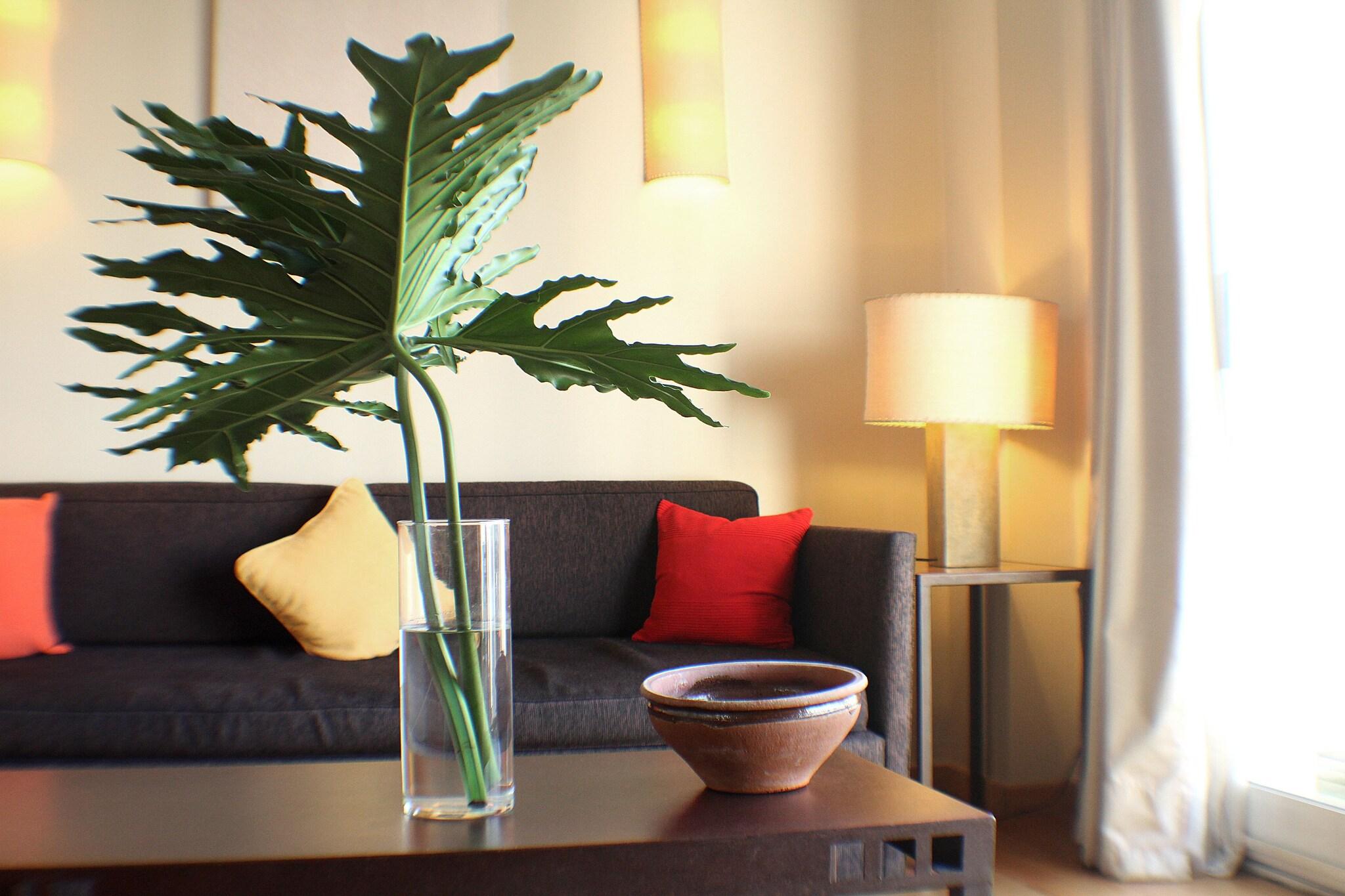 Apartment Executive One Bedroom