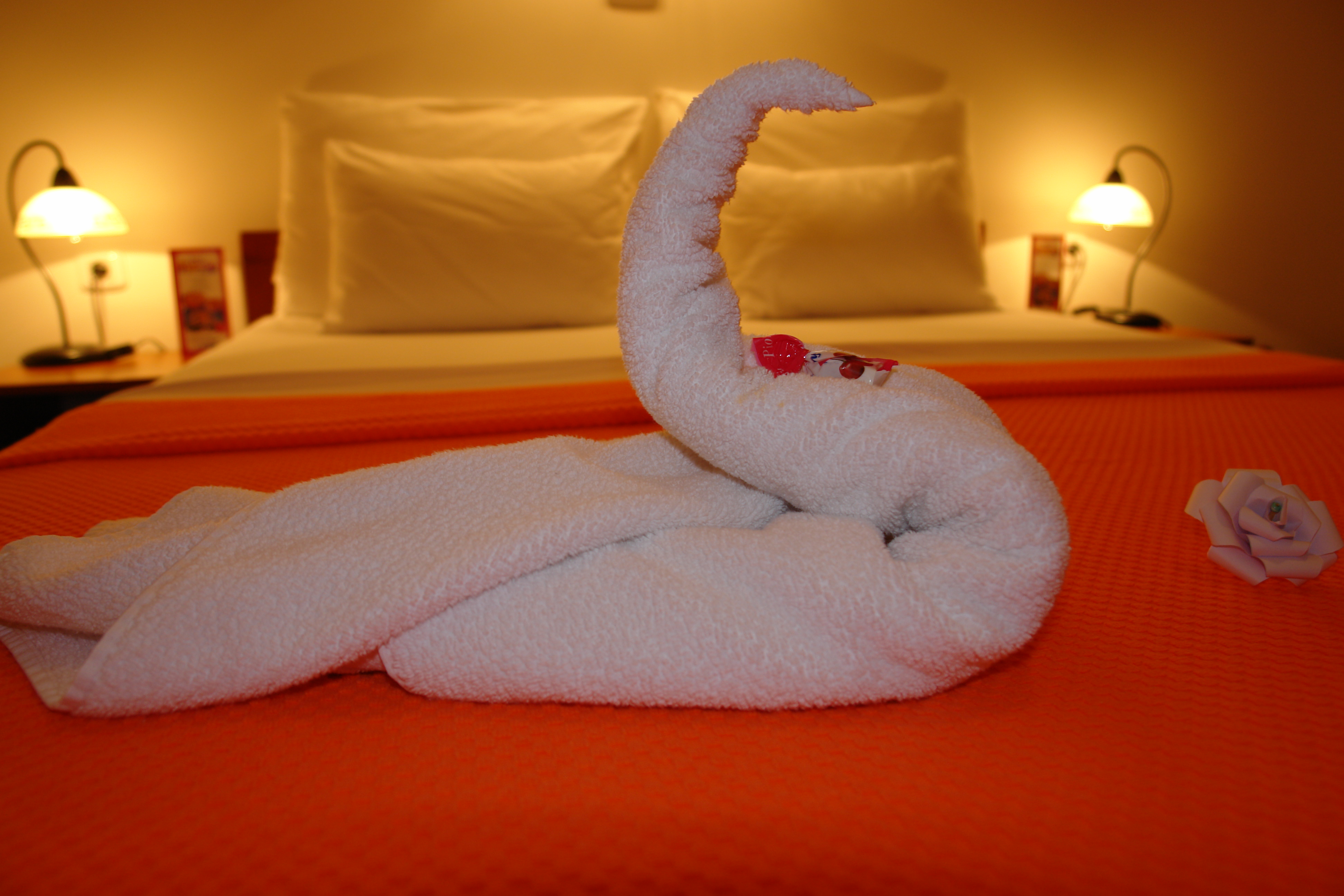 Double or Twin Standard